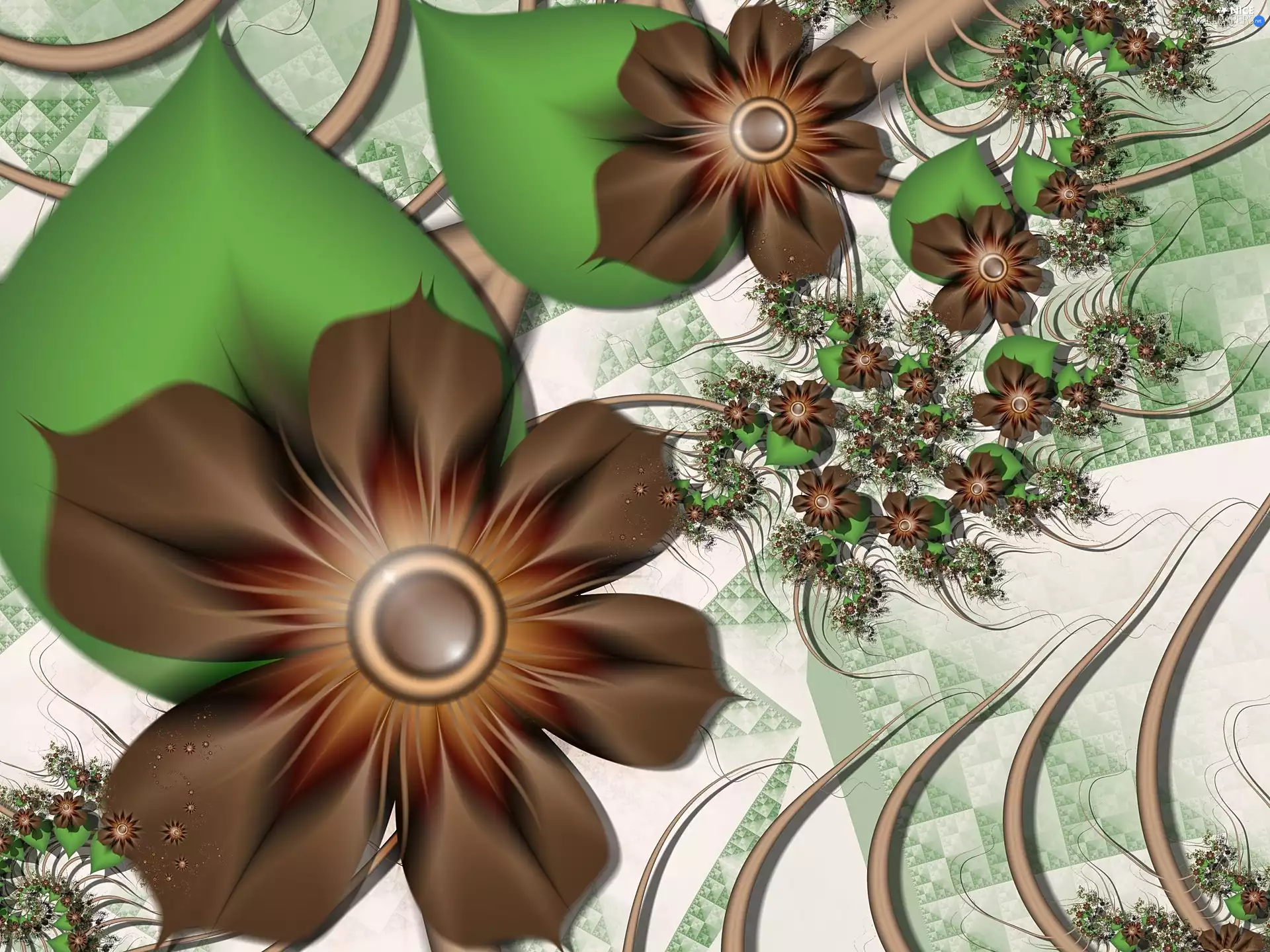 Brown, graphics, 3D, Flowers