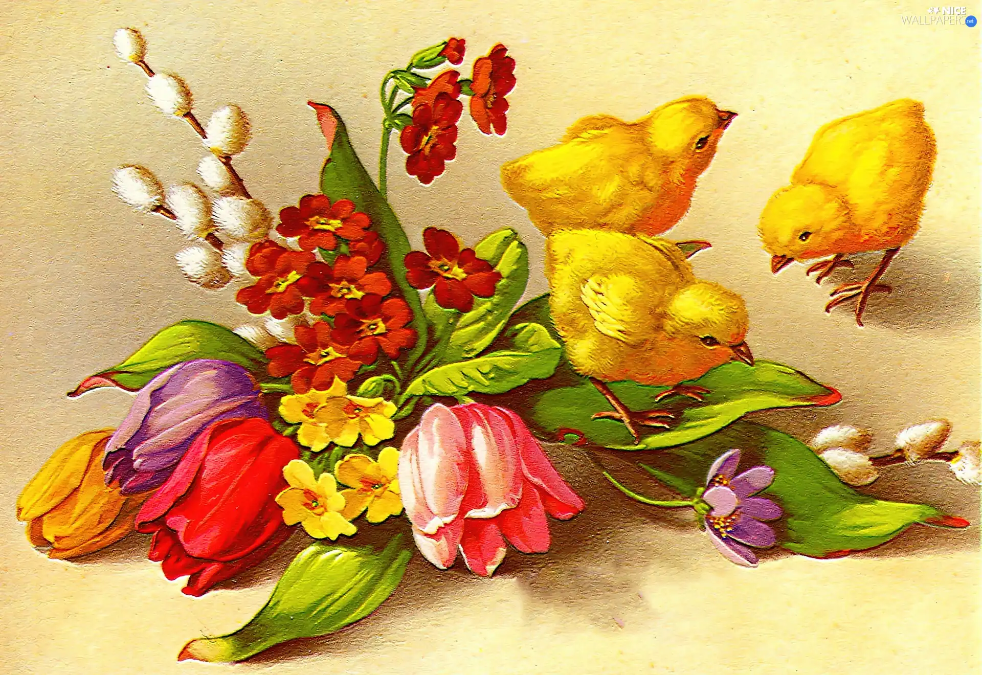 Flowers, Easter, chickens