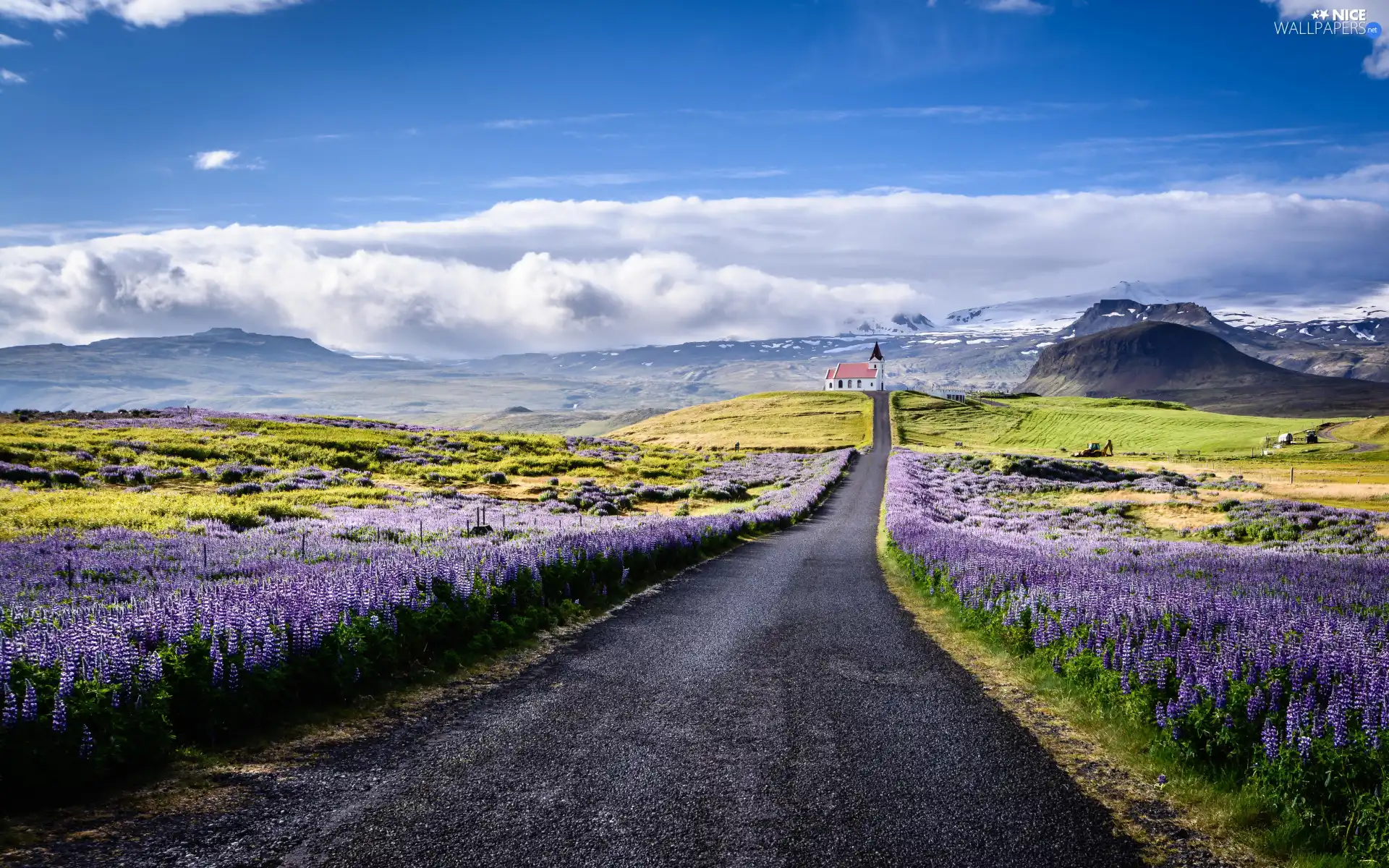 Flowers, lupine, iceland, Mountains, Snaefellsnes Peninsula, clouds, Way, Church
