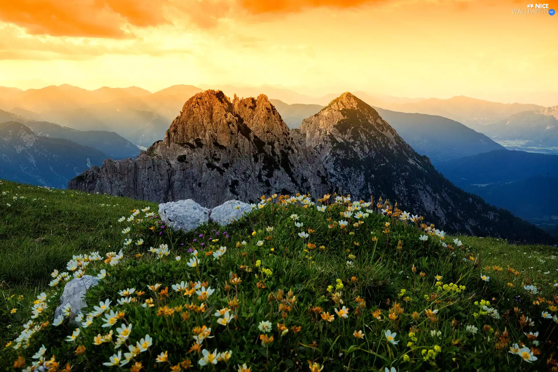 Meadow, Flowers, clouds, Mountains, Sunrise
