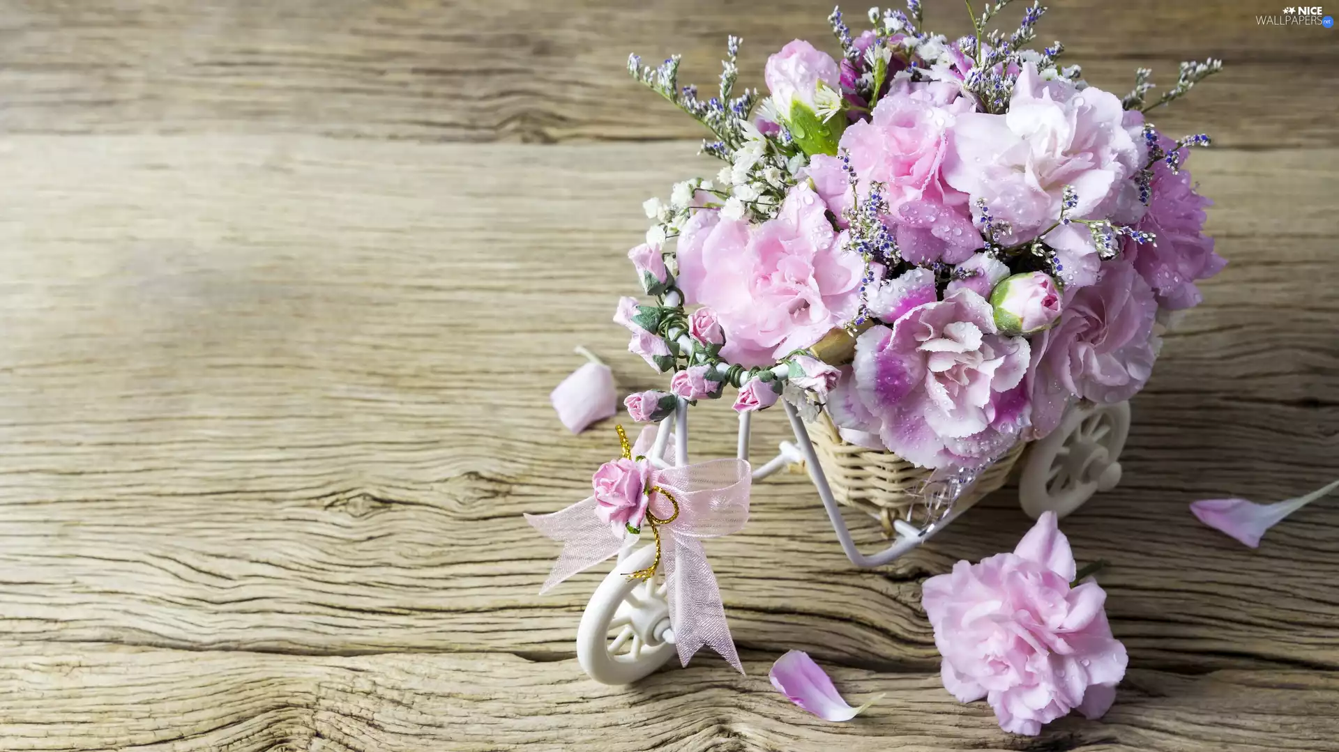 decoration, Flowers, Clove Pink, Bicycle