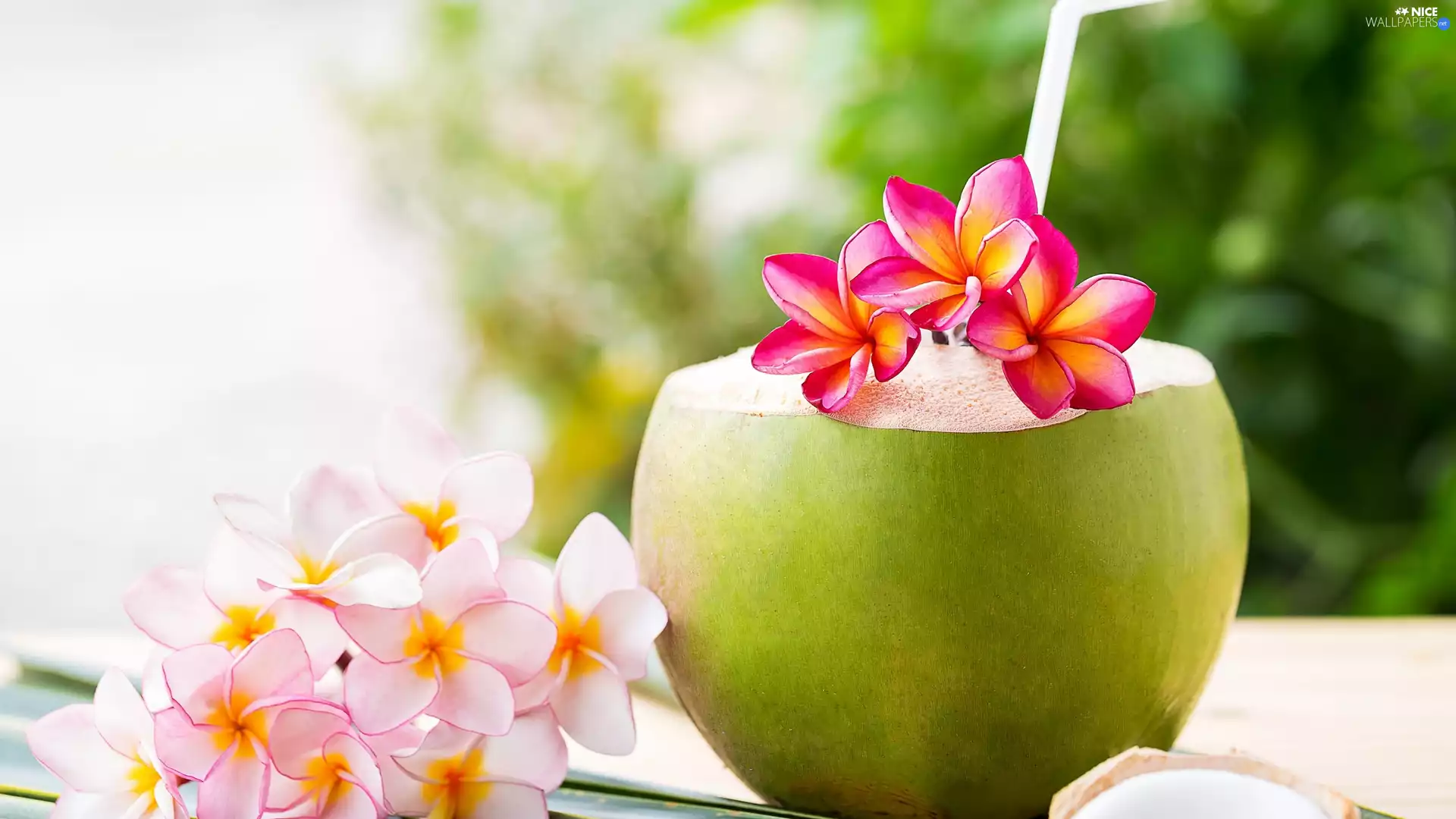 Colourfull Flowers, Coconut, Straw, Plumeria