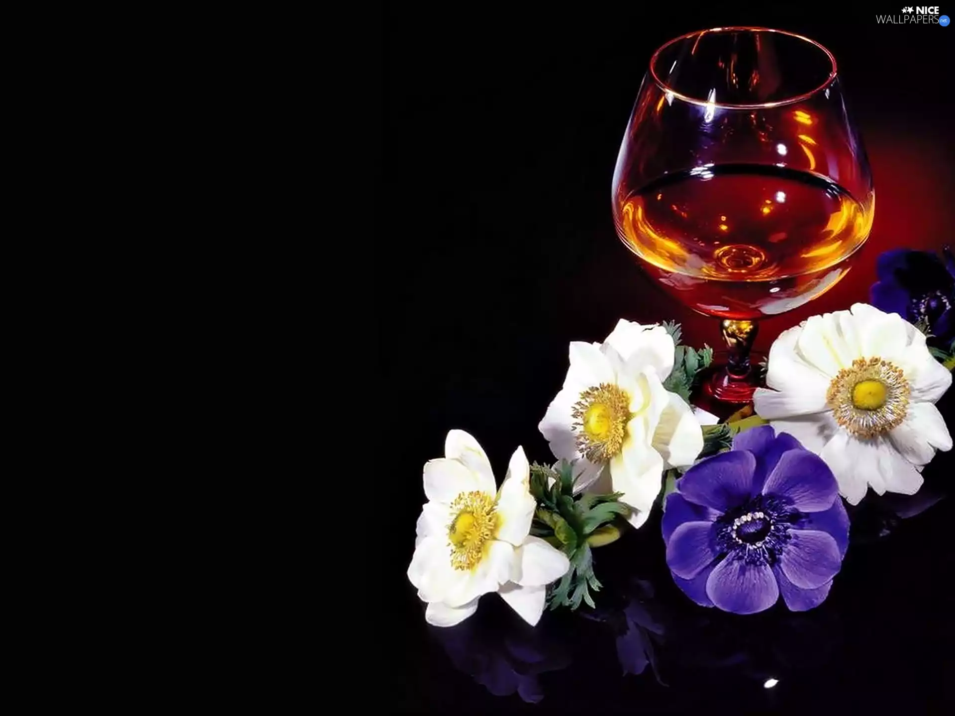 Flowers, glass, cognac