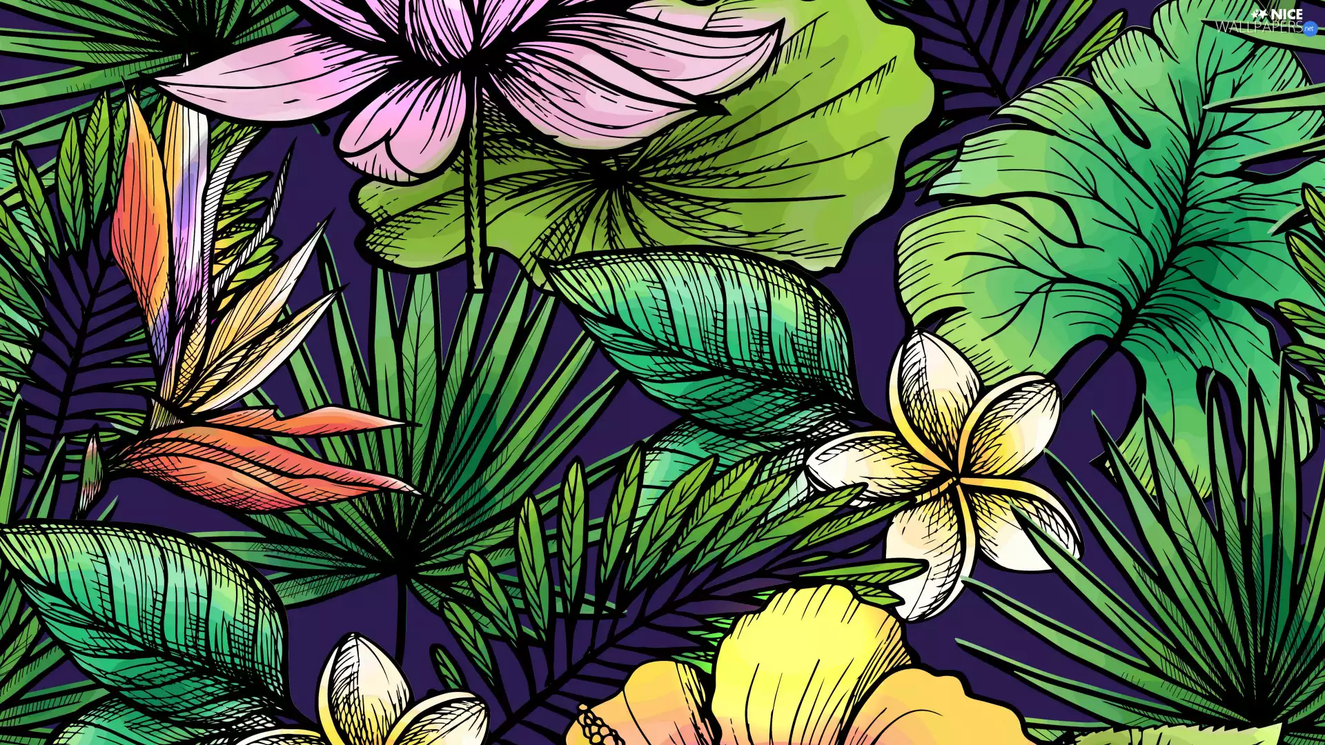 color, Leaf, 2D, Flowers