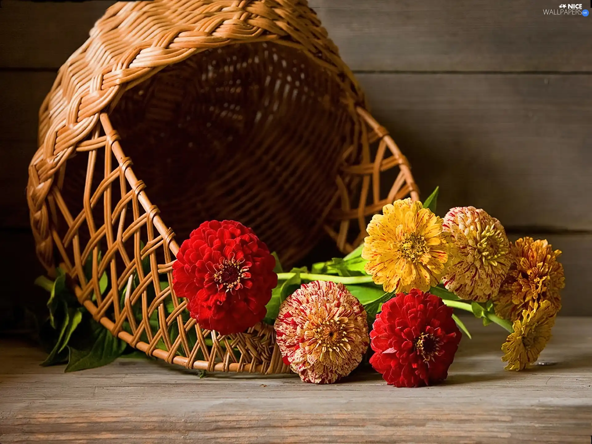 Flowers, basket, color