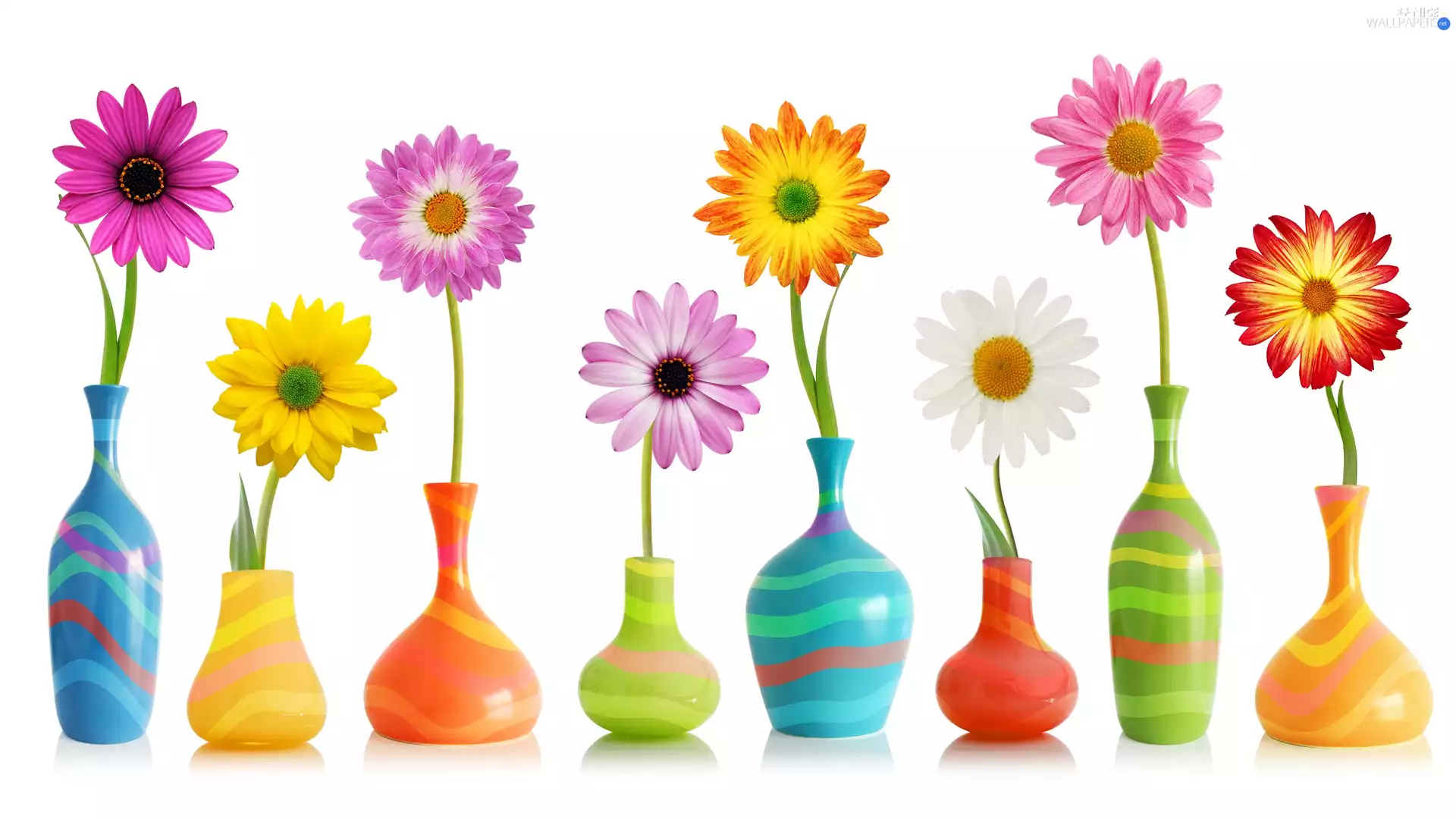 color, vases, composition, Flowers