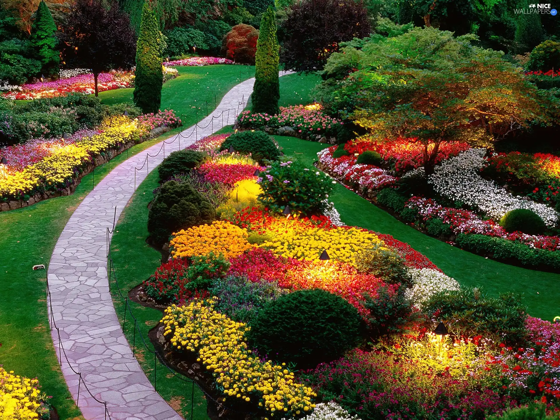 Flowers, Garden, color