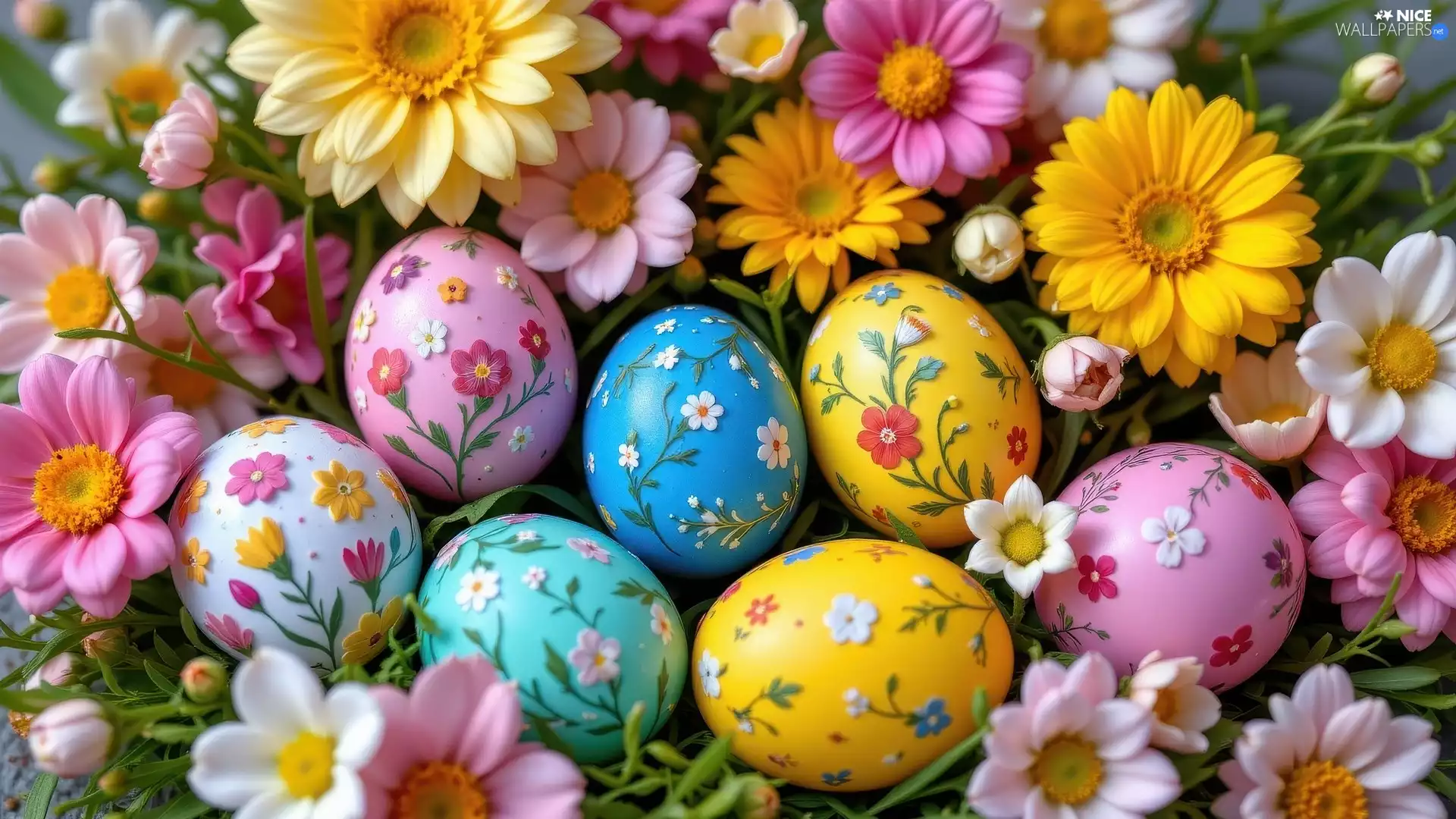 eggs, Easter, Yellow, Flowers, Pink, color