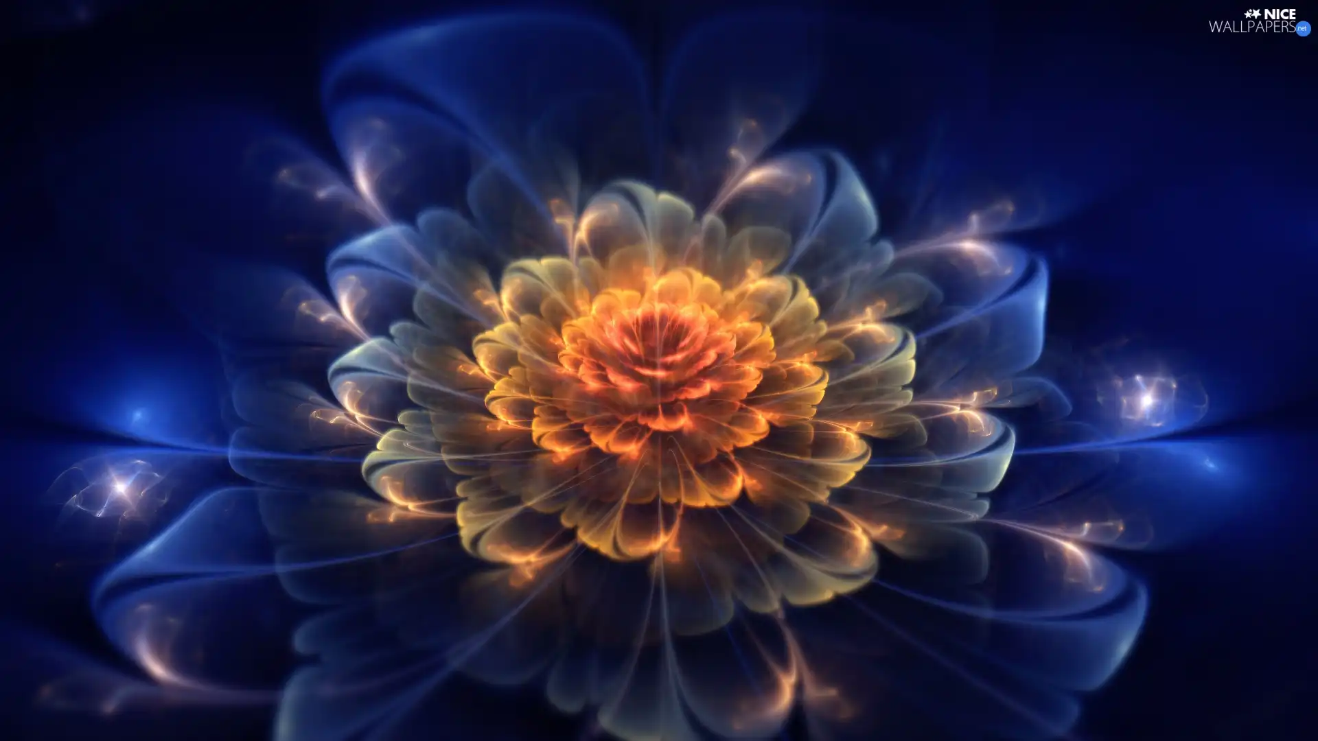 Fractalius, Colourfull Flowers