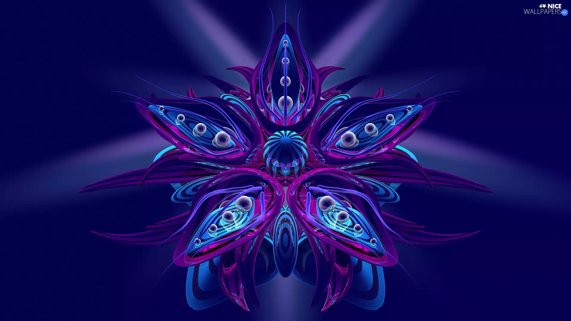 3D Graphics, Colourfull Flowers, blue background, blue