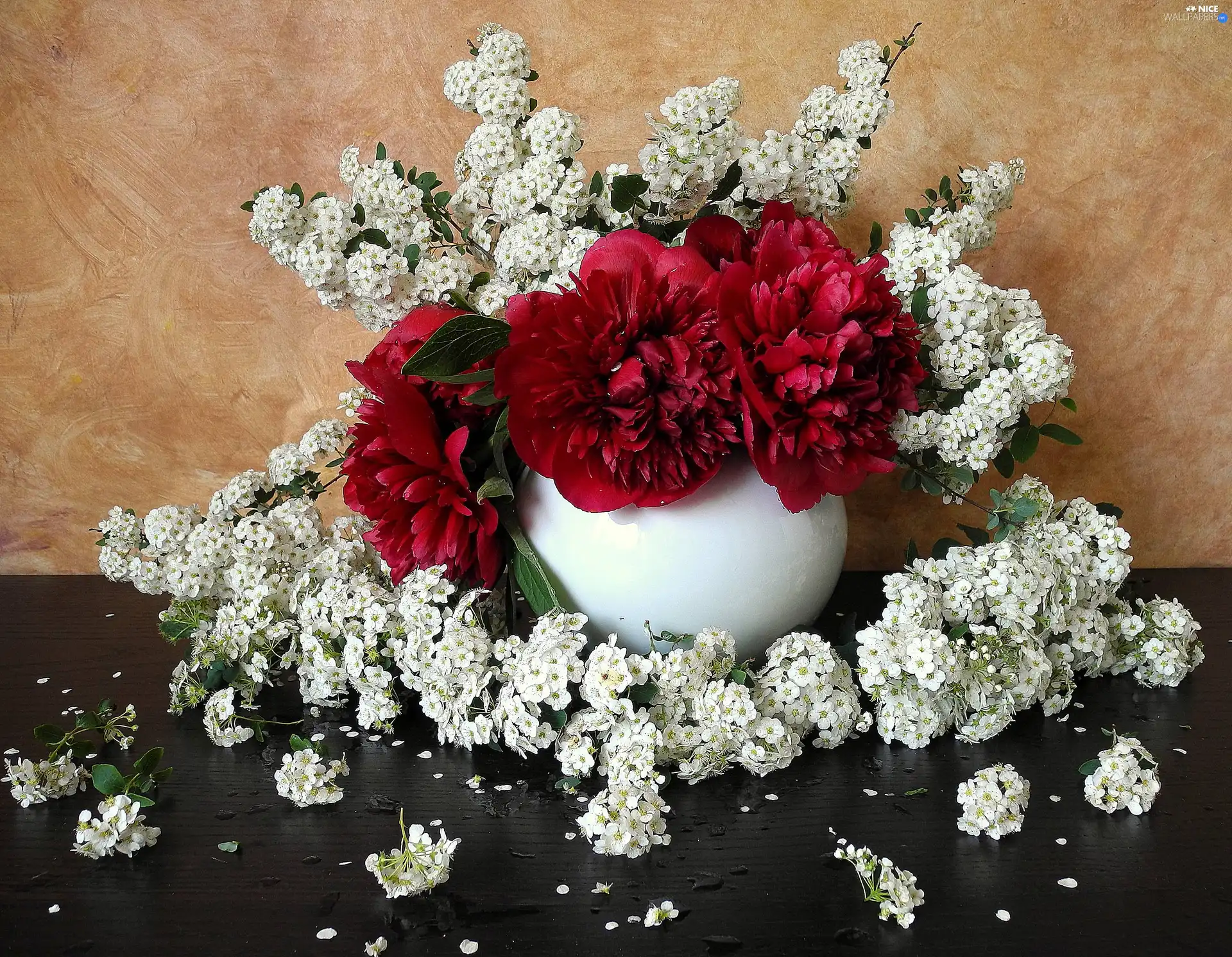 composition, White, flowers, Peonies