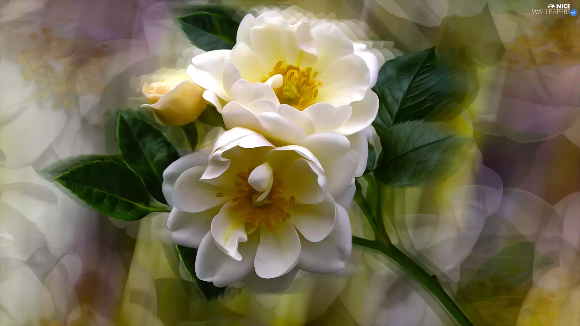 developed, Briar, graphics, Flowers