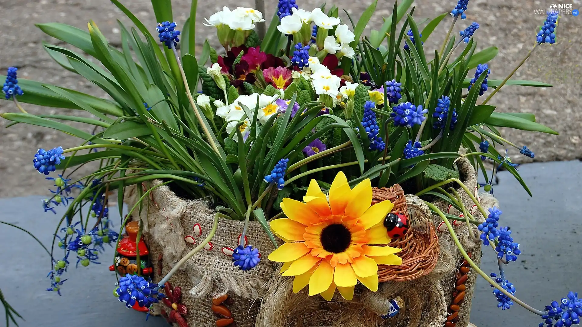 flowers, bouquet, Diverse