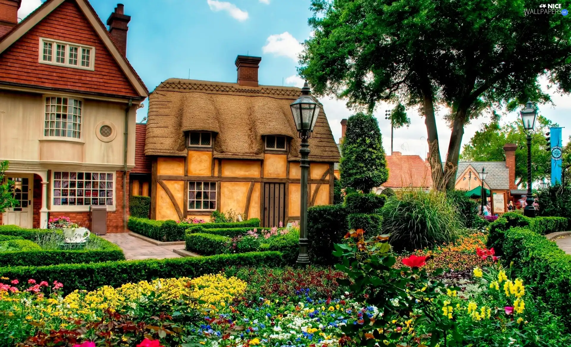 English, garden, Flowers, Houses