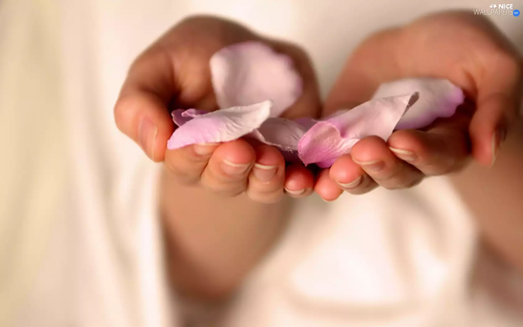 flowers, hands, flakes