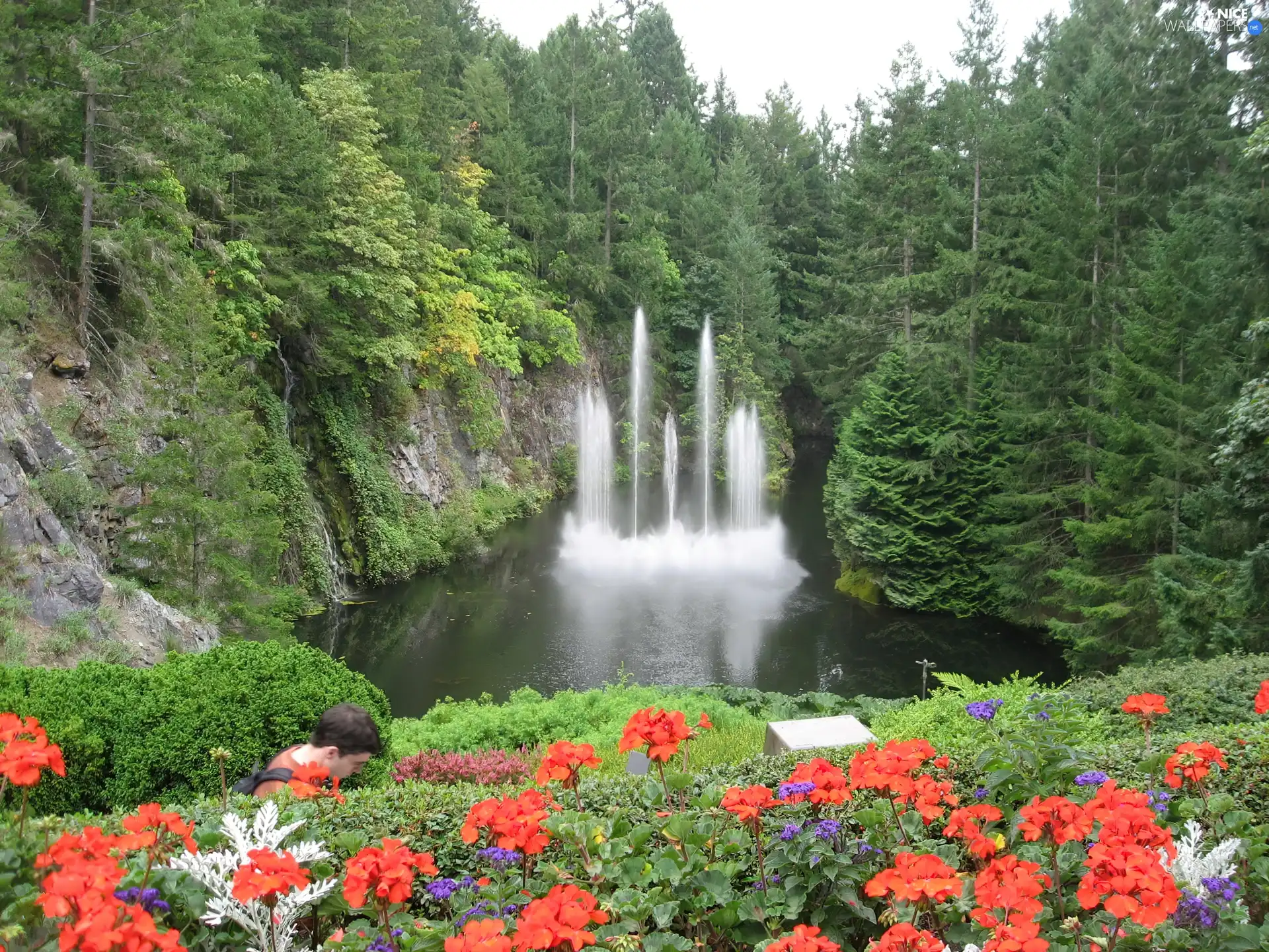 fountain, forest, Flowers, lake