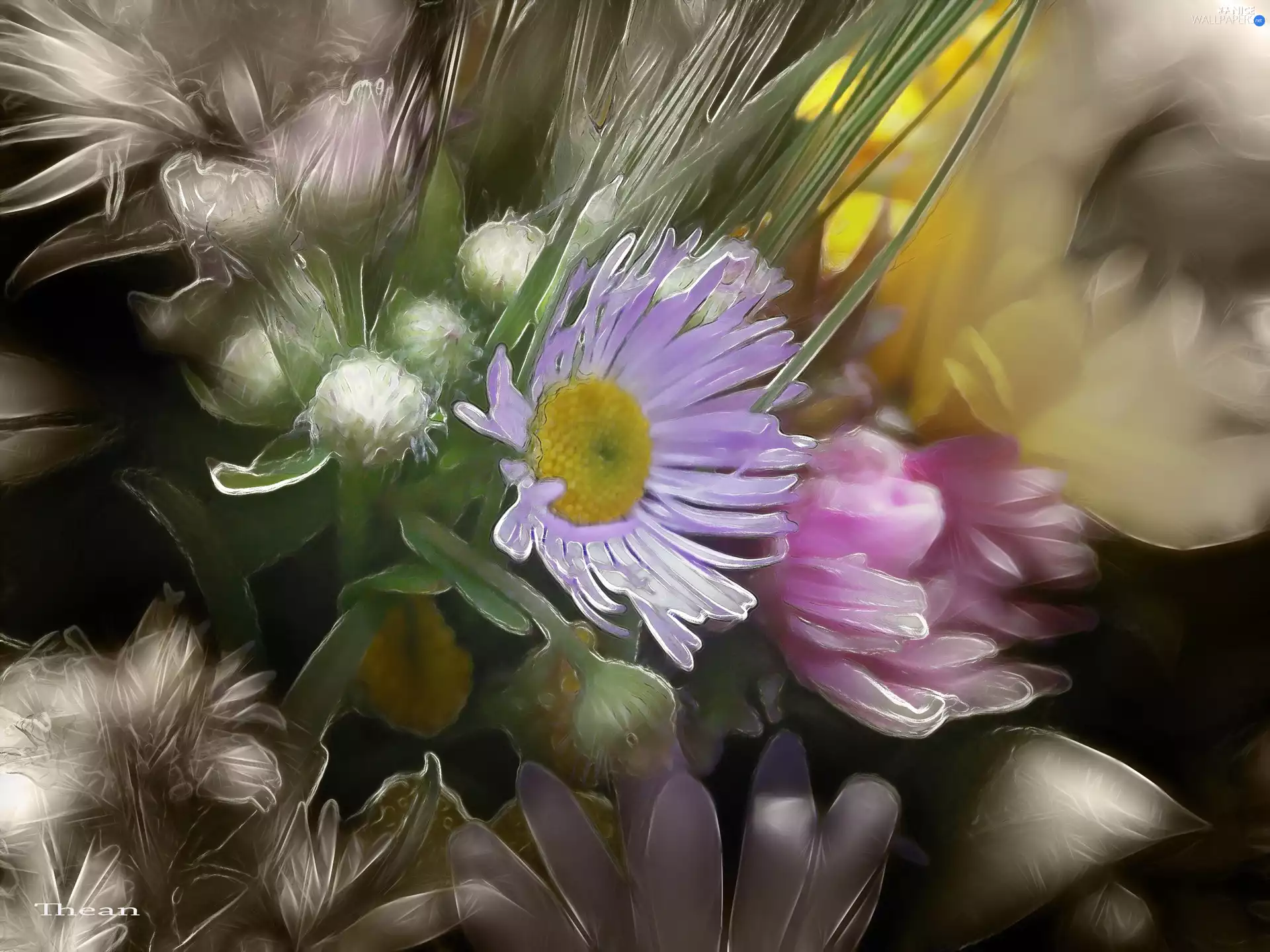 Flowers, Fractalius