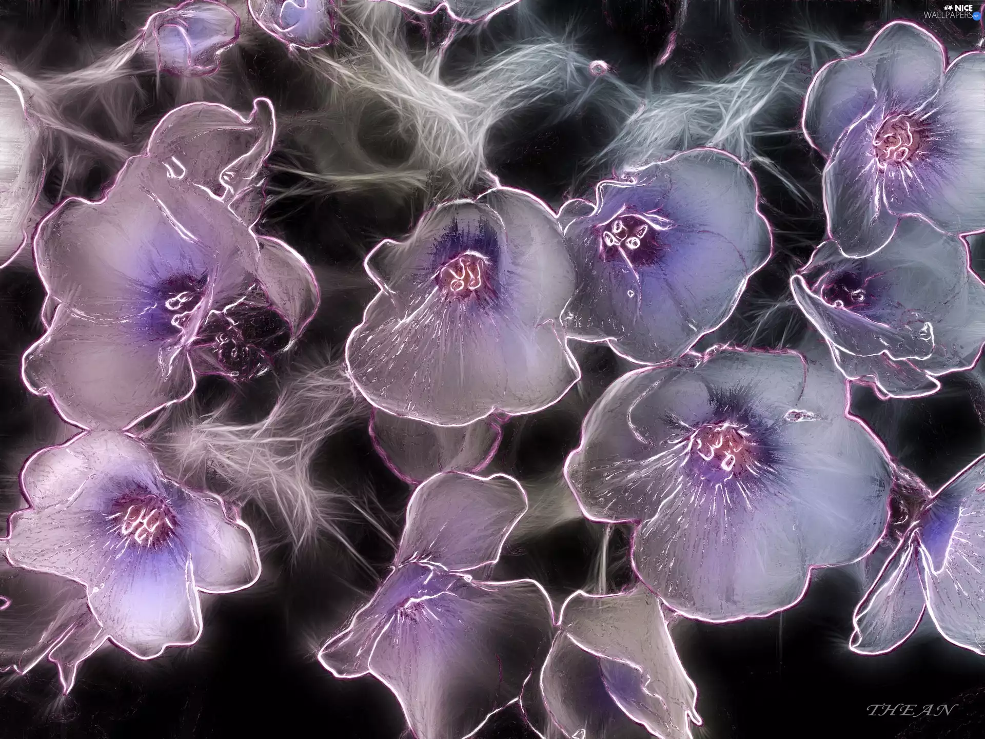 Flowers, Fractalius