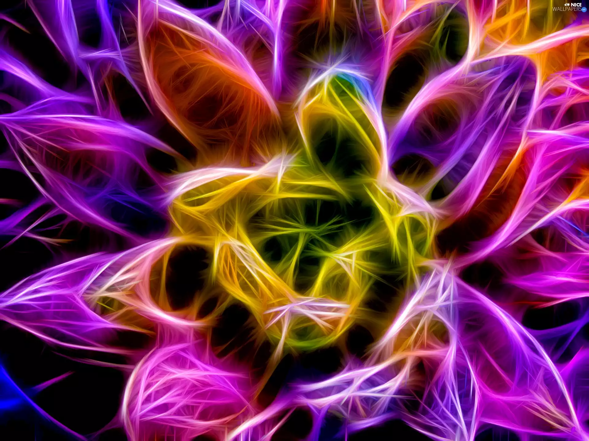 Fractalius, color, Colourfull Flowers