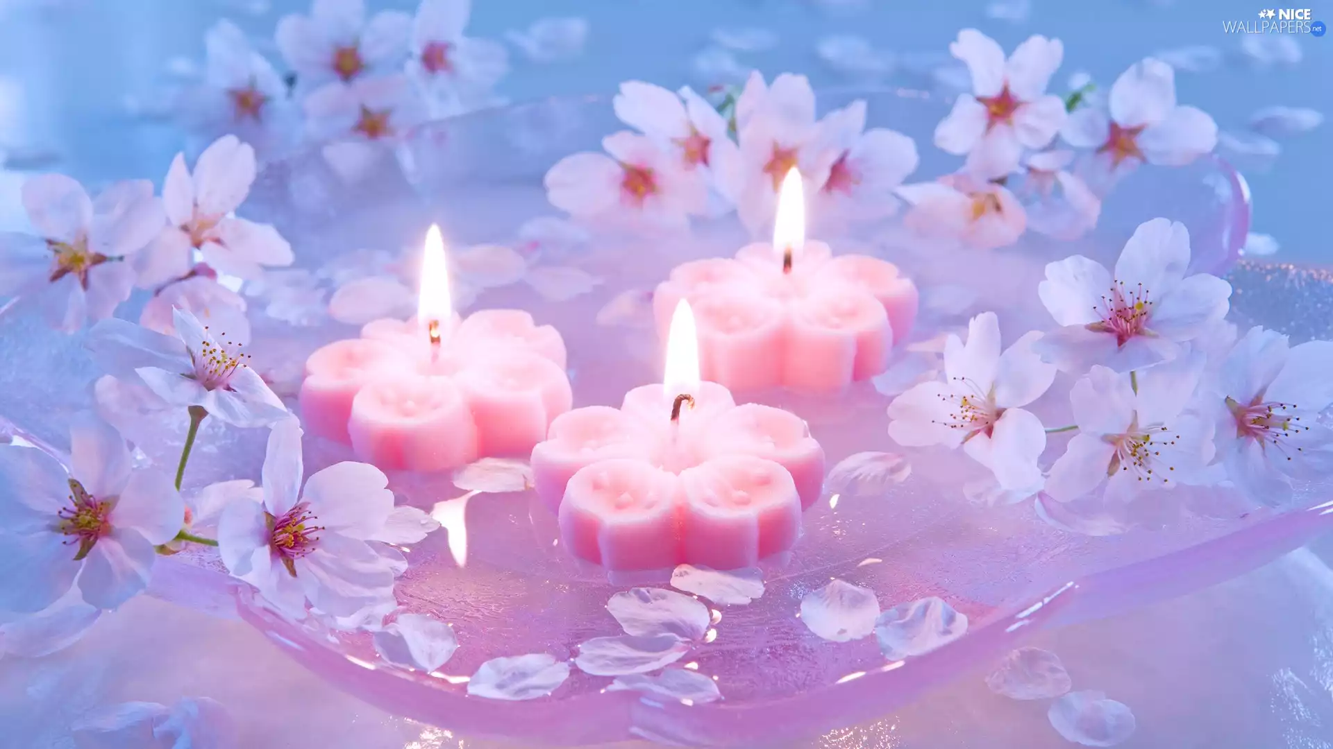 Three, Flowers, Fruit Tree, Candles