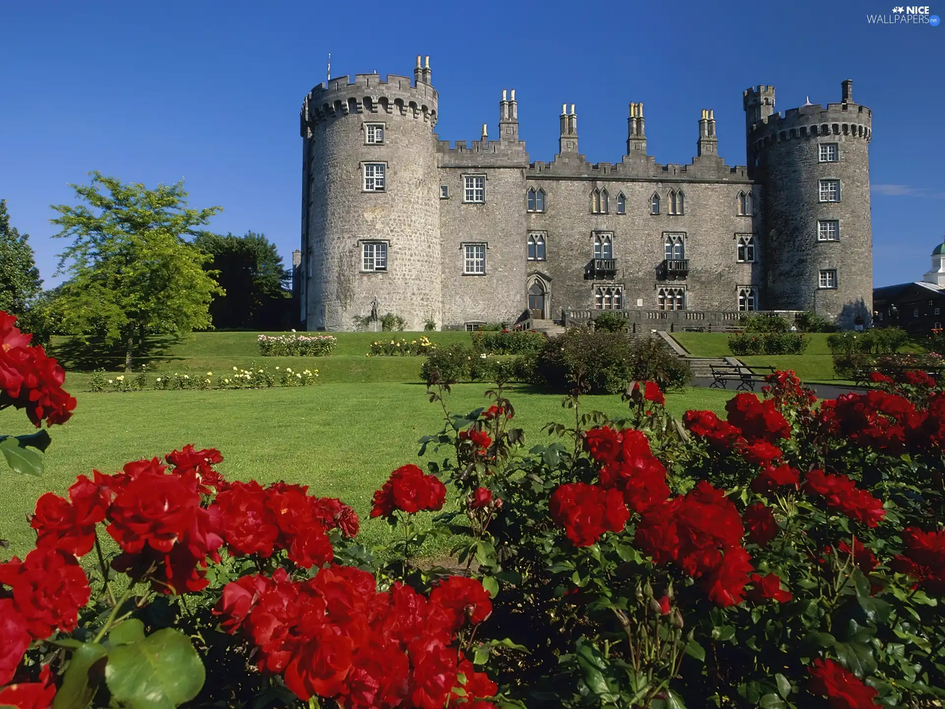 Flowers, Castle, Garden