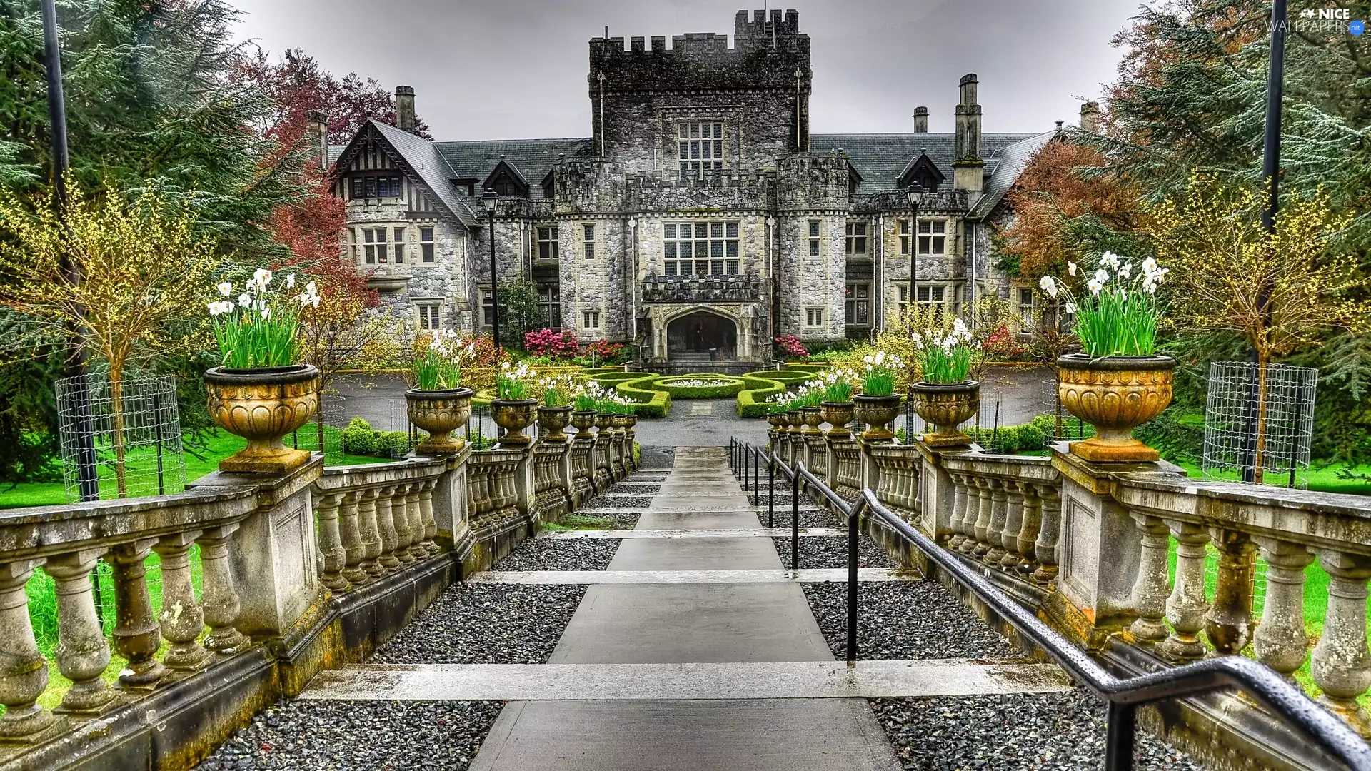 Flowers, Castle, Garden