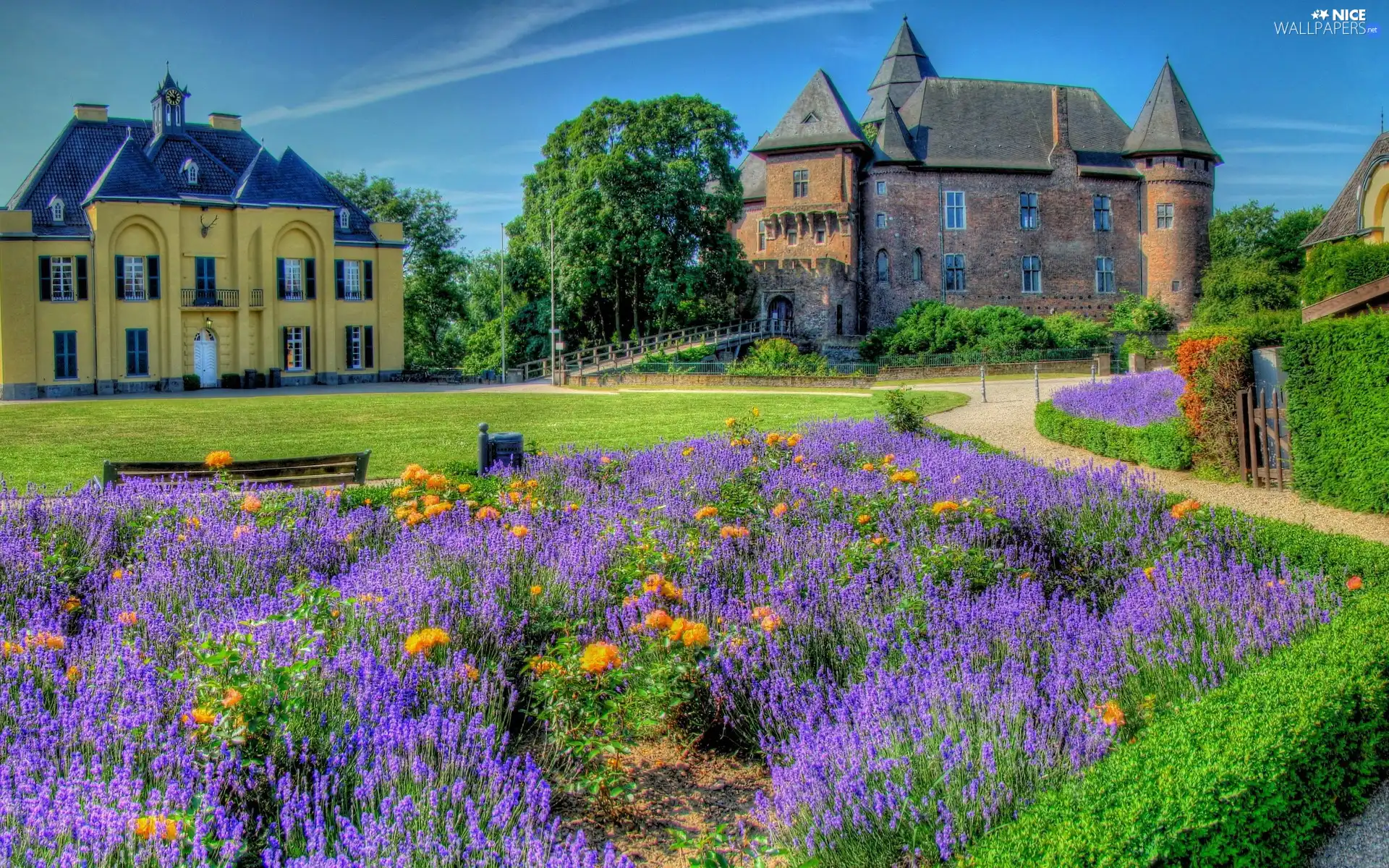 Flowers, Residences, Garden