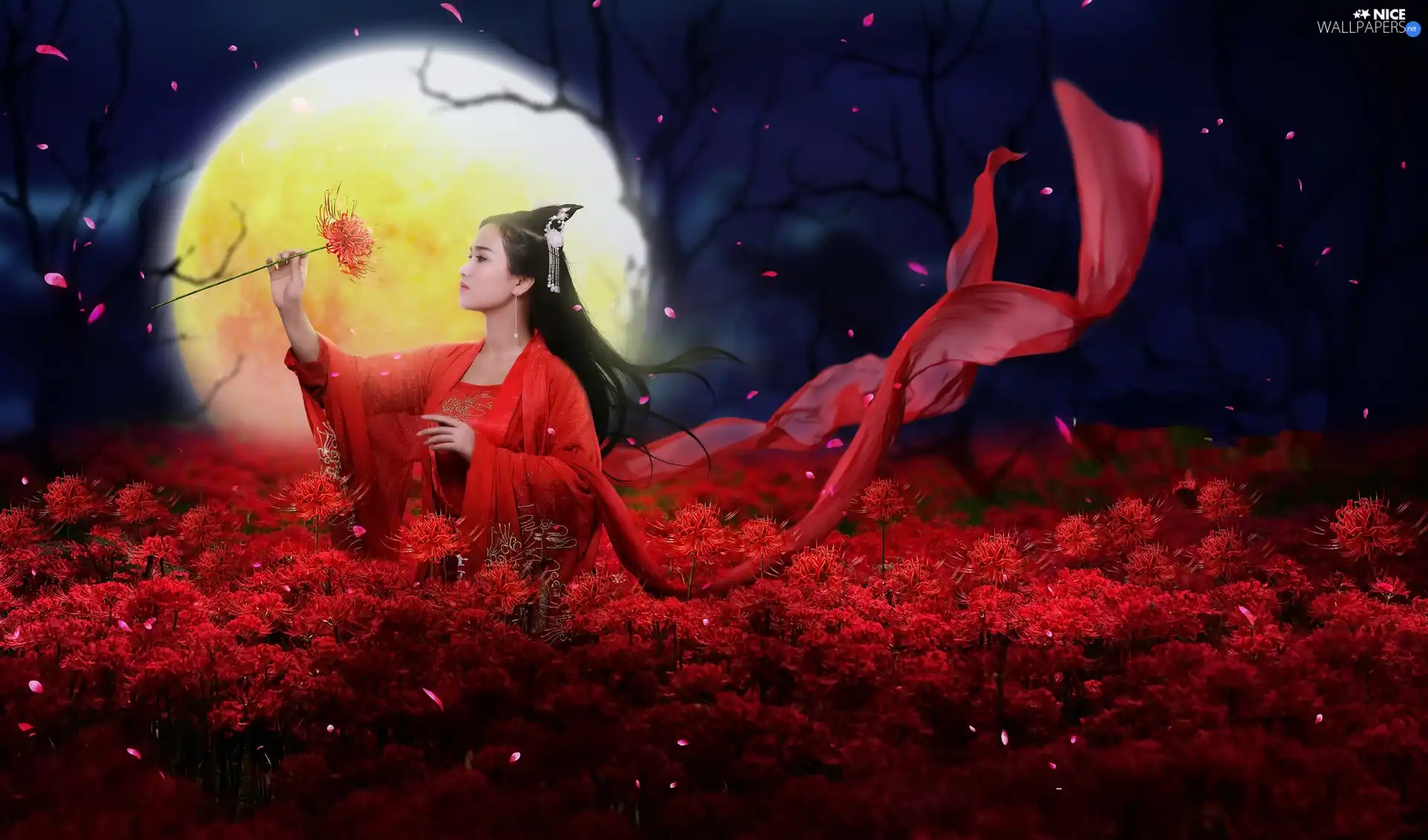 red hot, girl, Flowers, moon, Dress, Asian