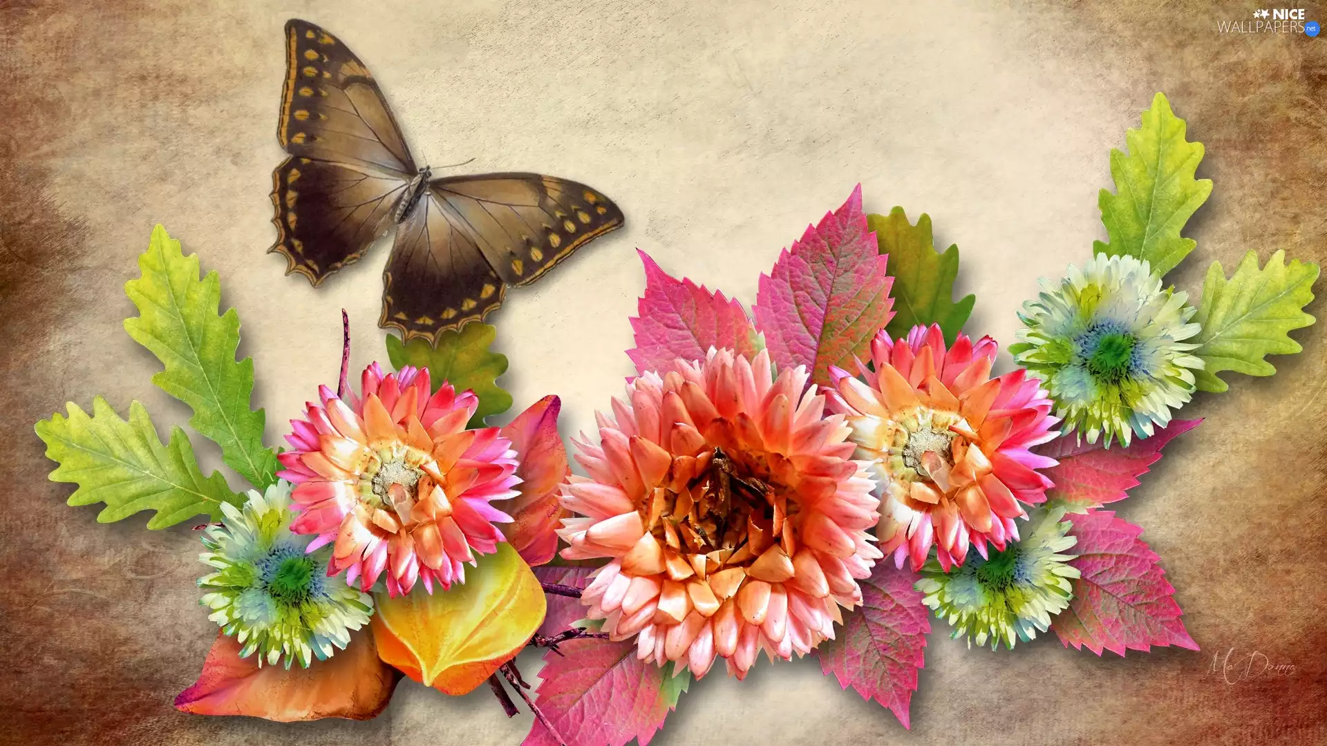 graphics, Leaf, butterfly, Flowers