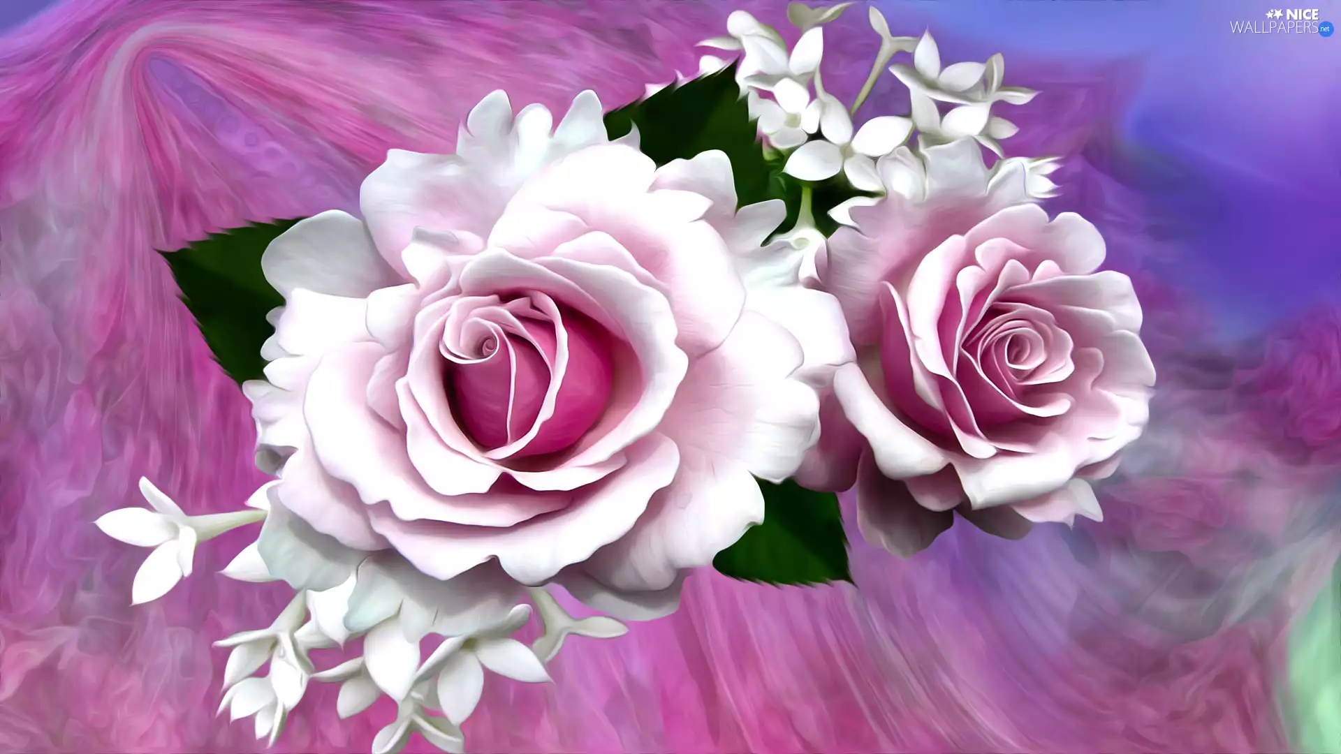 graphics, roses, Pink, Flowers