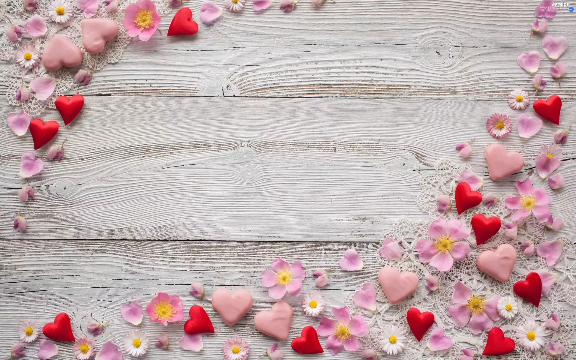 Flowers, Anemone Hupehensis, boarding, daisies, White, hearts, composition, Napkins