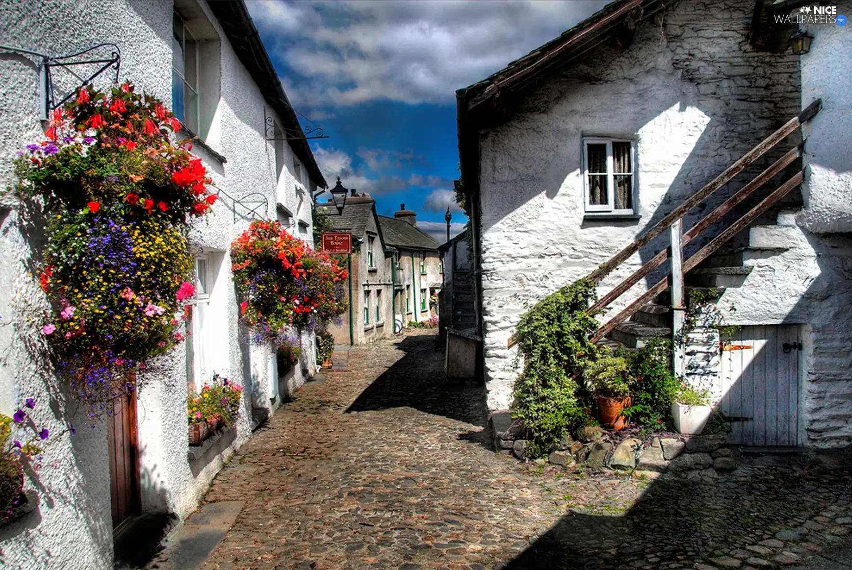 Flowers, alley, Houses