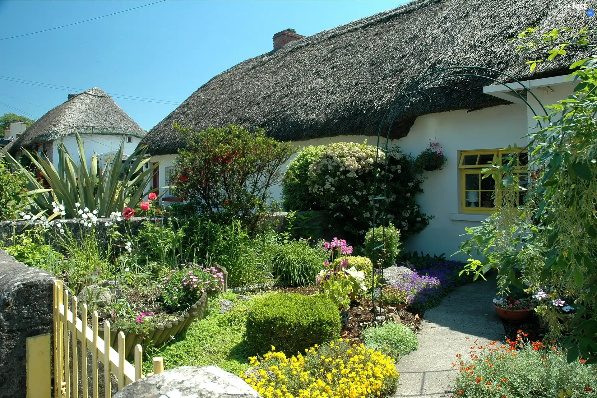 Flowers, house, Ireland
