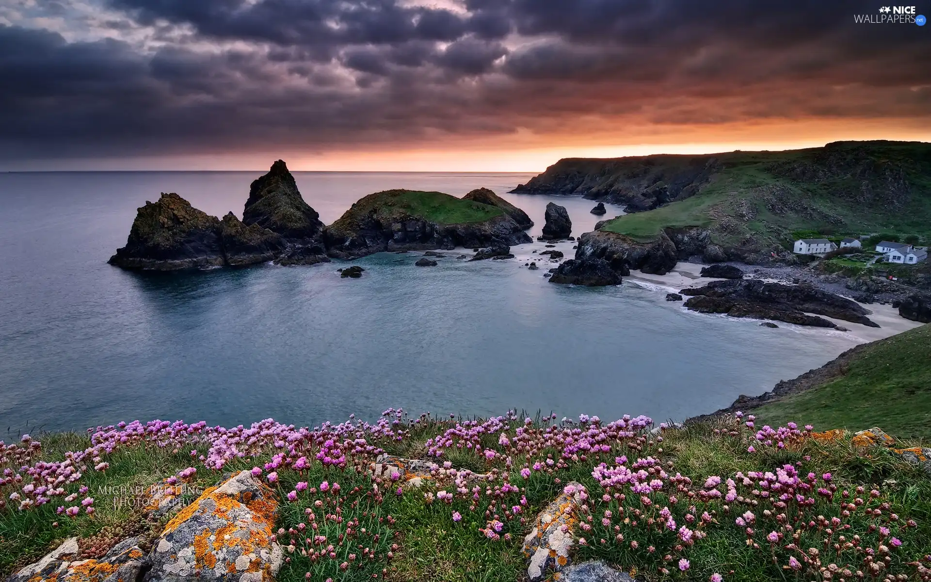 Flowers, sea, Islets