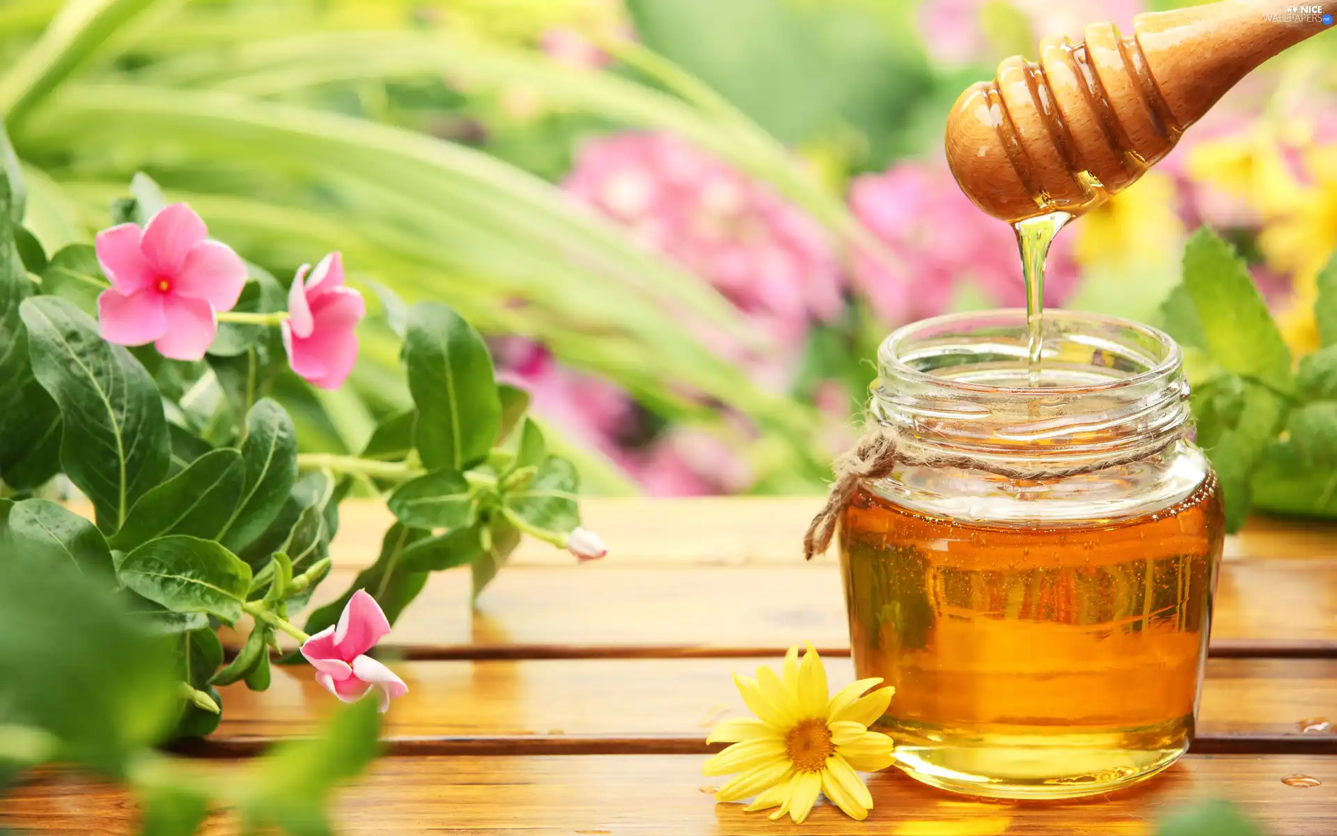 Flowers, honey, jar
