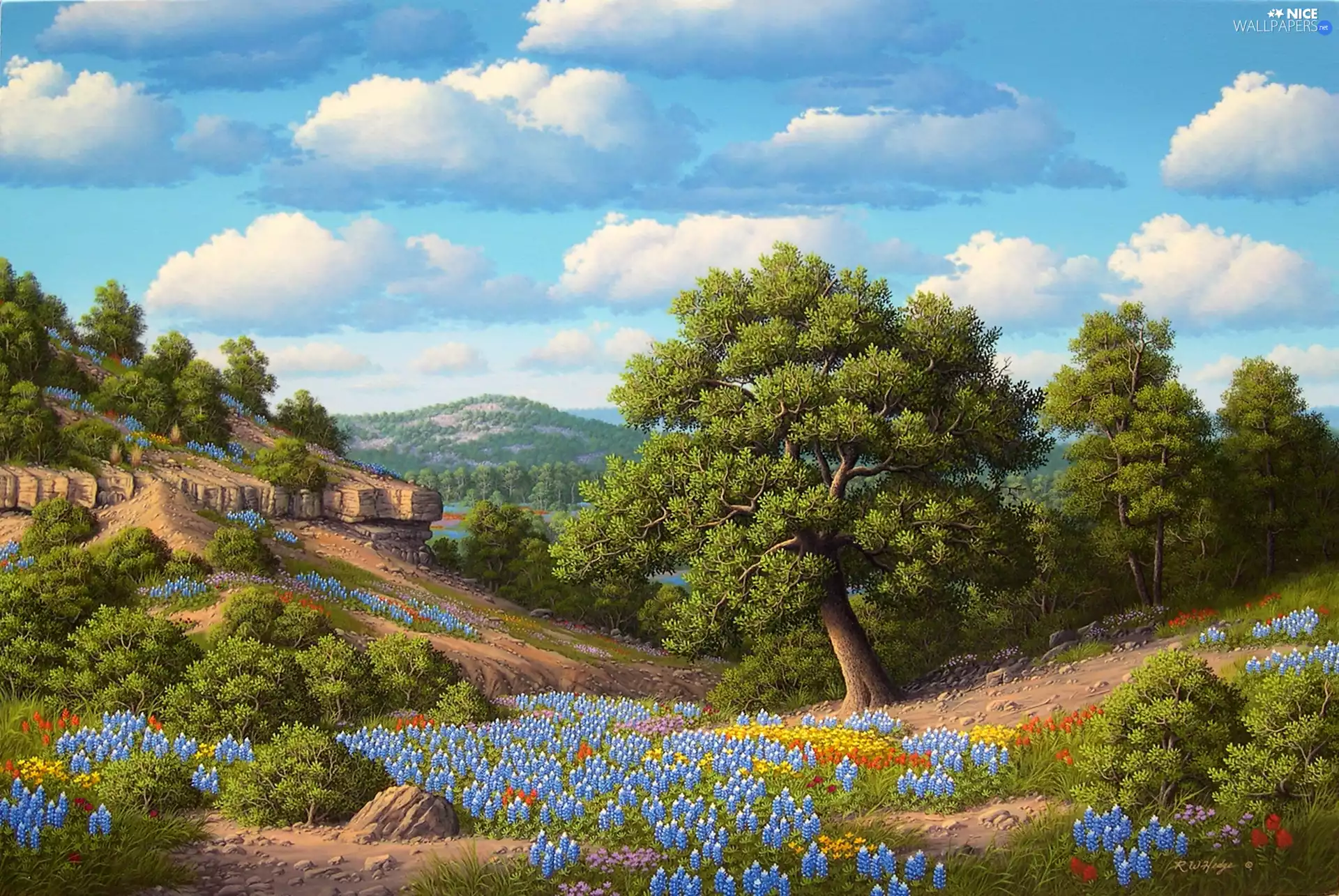 copy, Flowers, Kay Walton, landscape