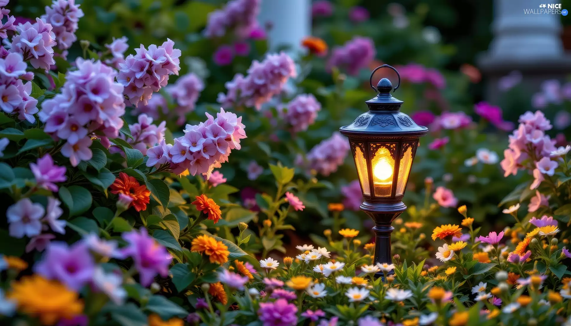 Flowers, Garden, Lamp