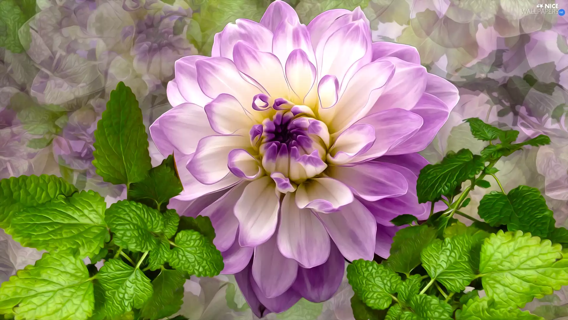 Colourfull Flowers, Leaf, graphics, Dalia