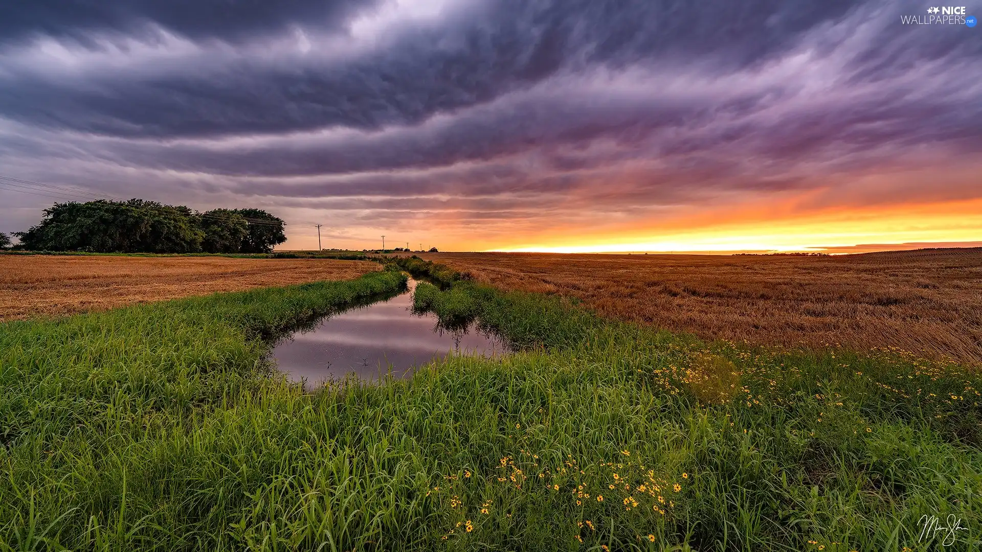 Flowers, Pond - car, Great Sunsets, grass, Meadow, Field, clouds