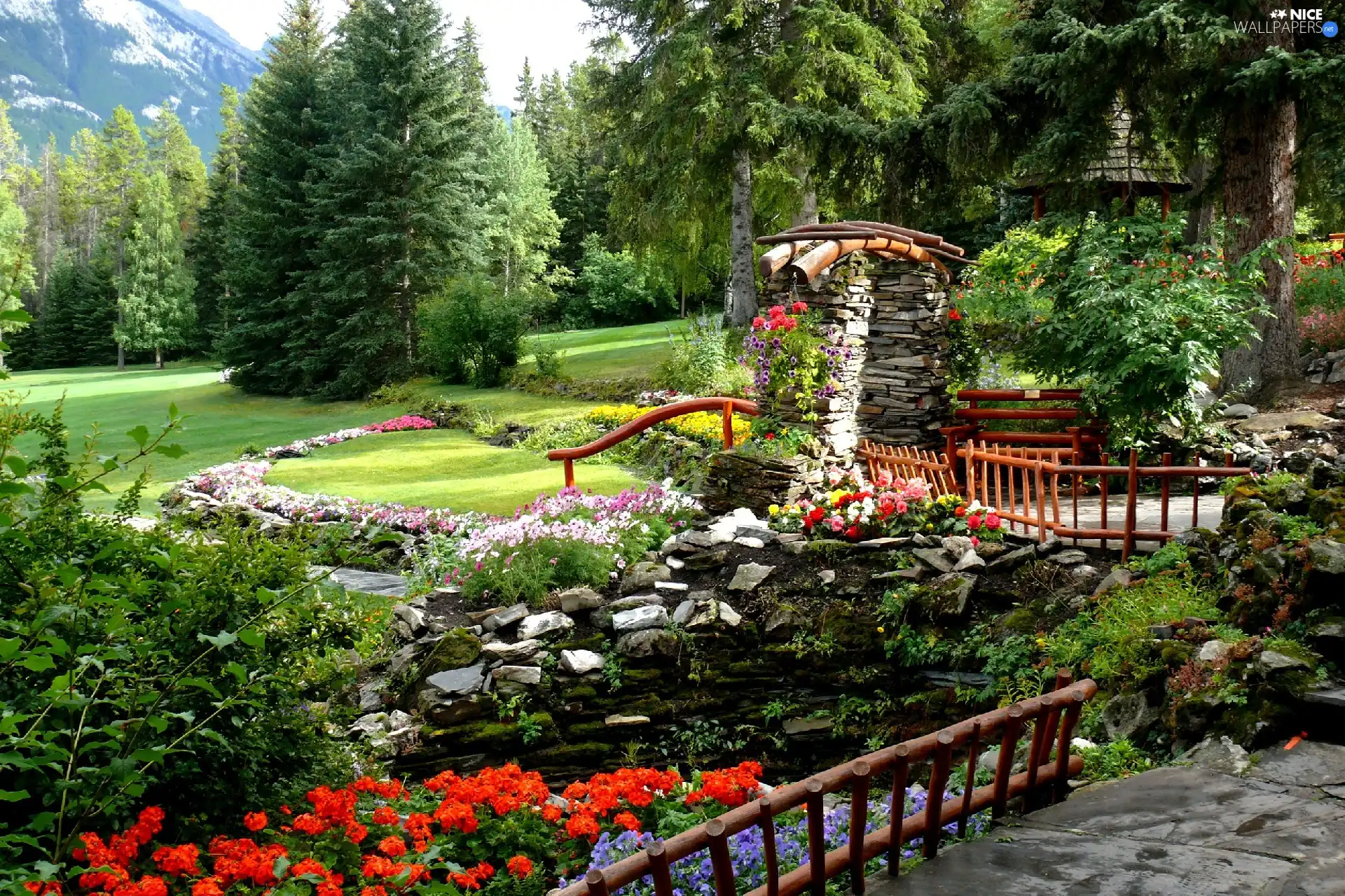 Flowers, Mountains, Meadow