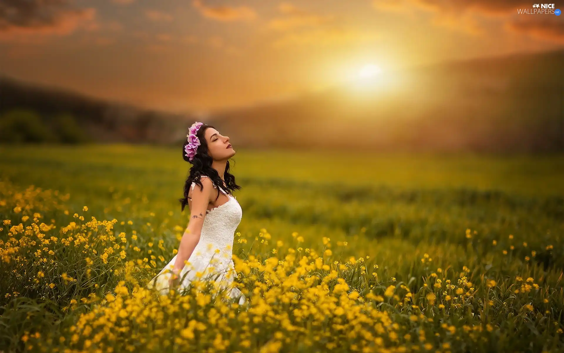 Flowers, Women, Meadow