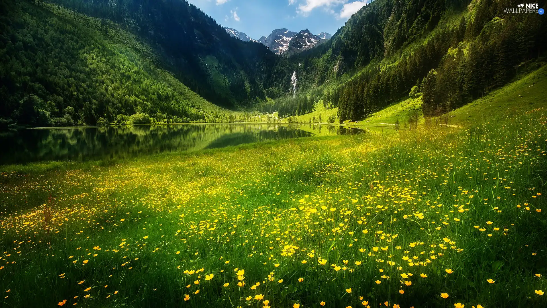 Meadow, Flowers, Mountains, waterfall, lake