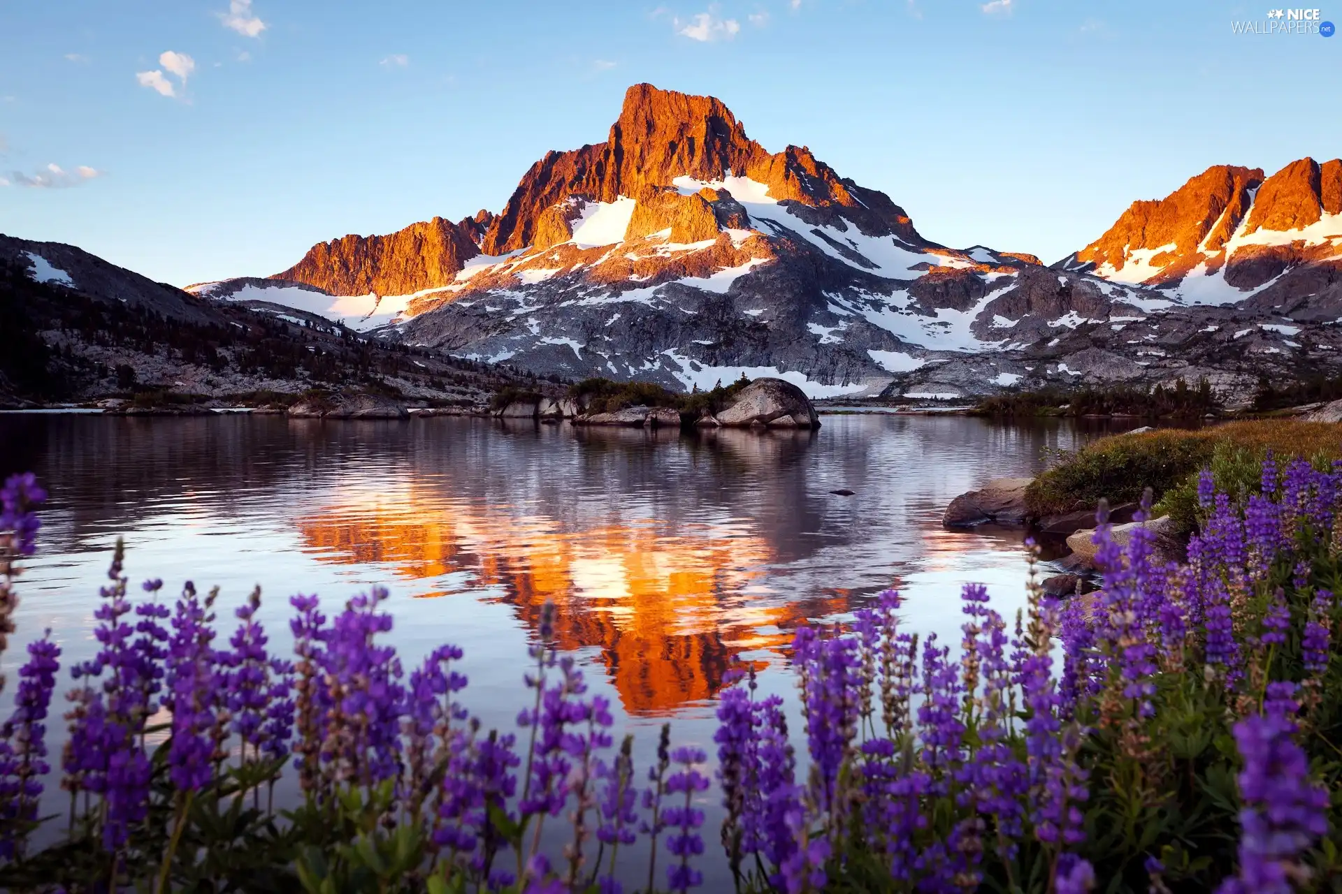 Mountains, water, Flowers, snow