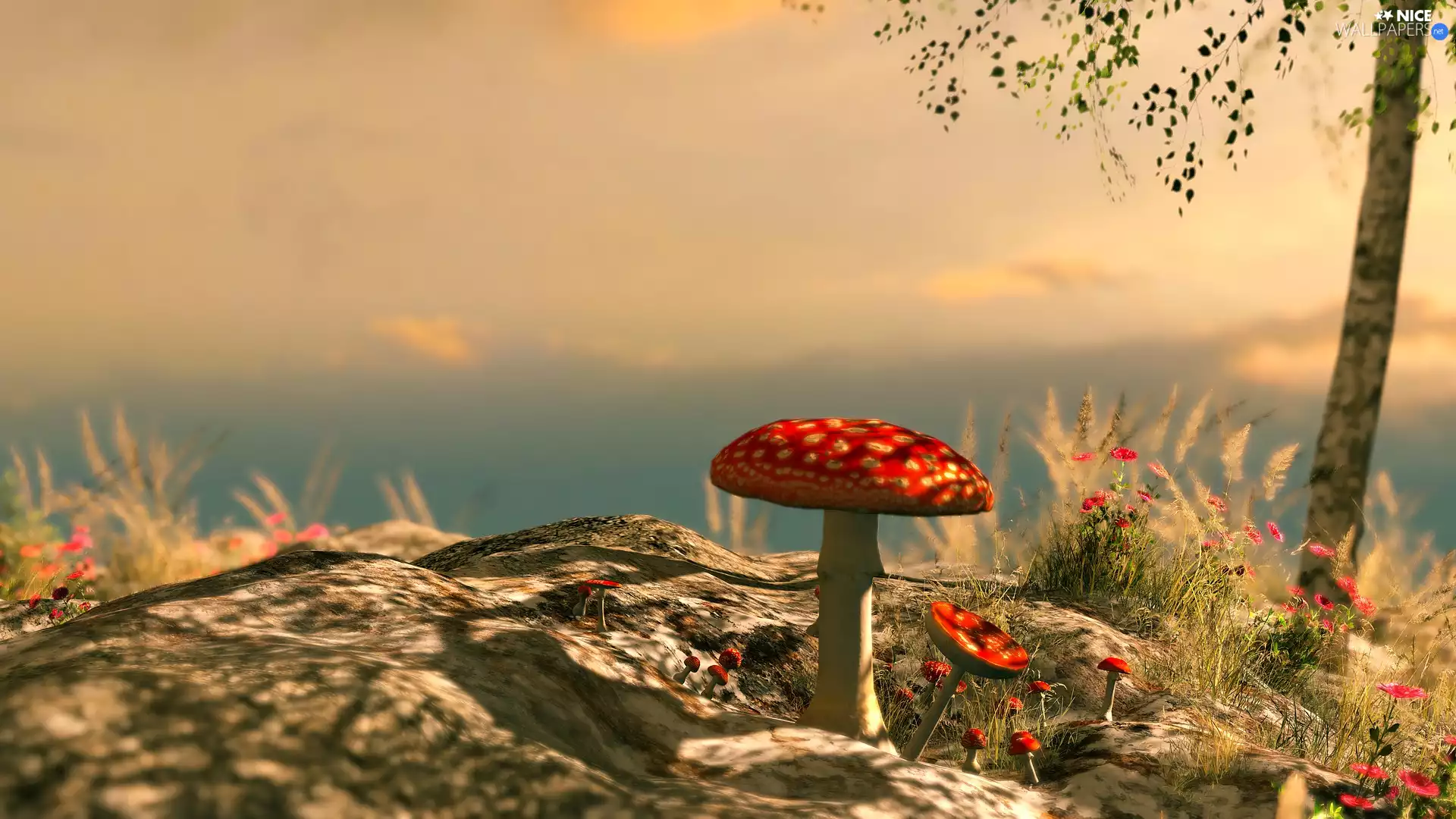 Plants, Flowers, mushrooms, toadstools, graphics