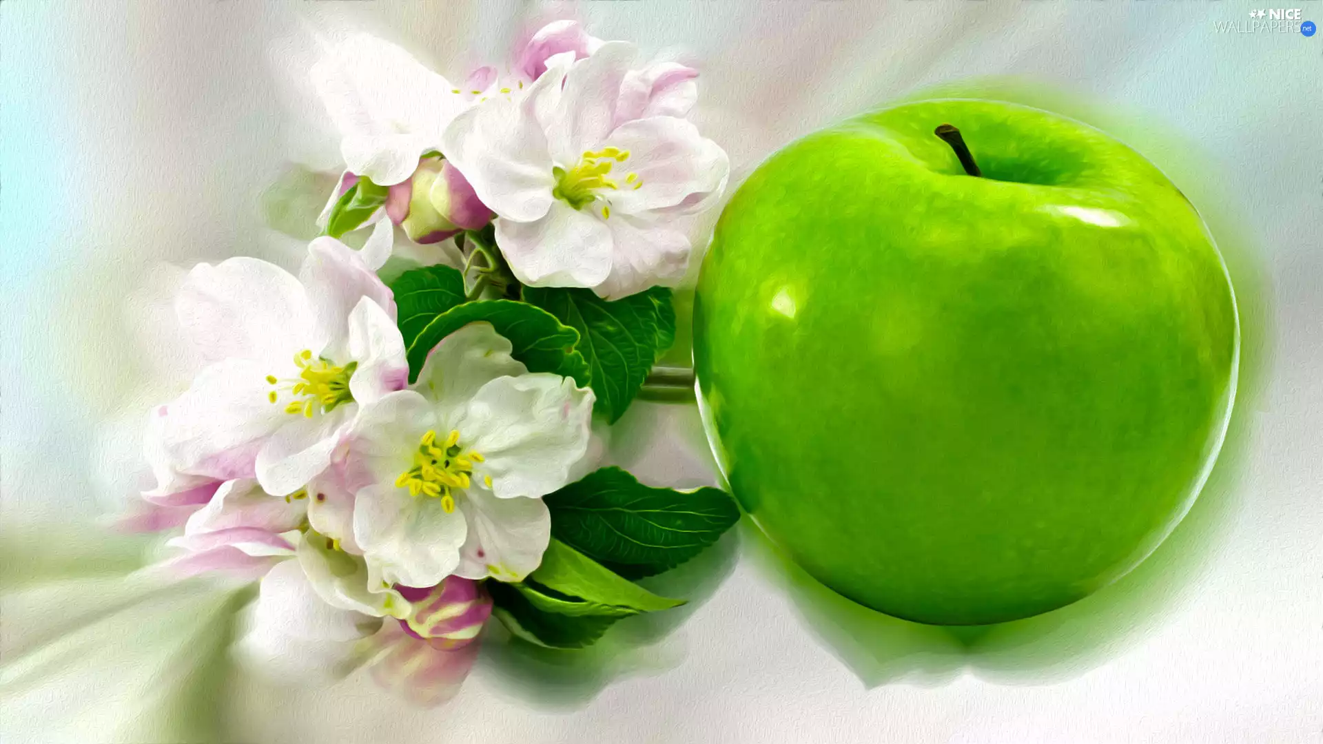 apple, graphics, Apple, Flowers, green ones