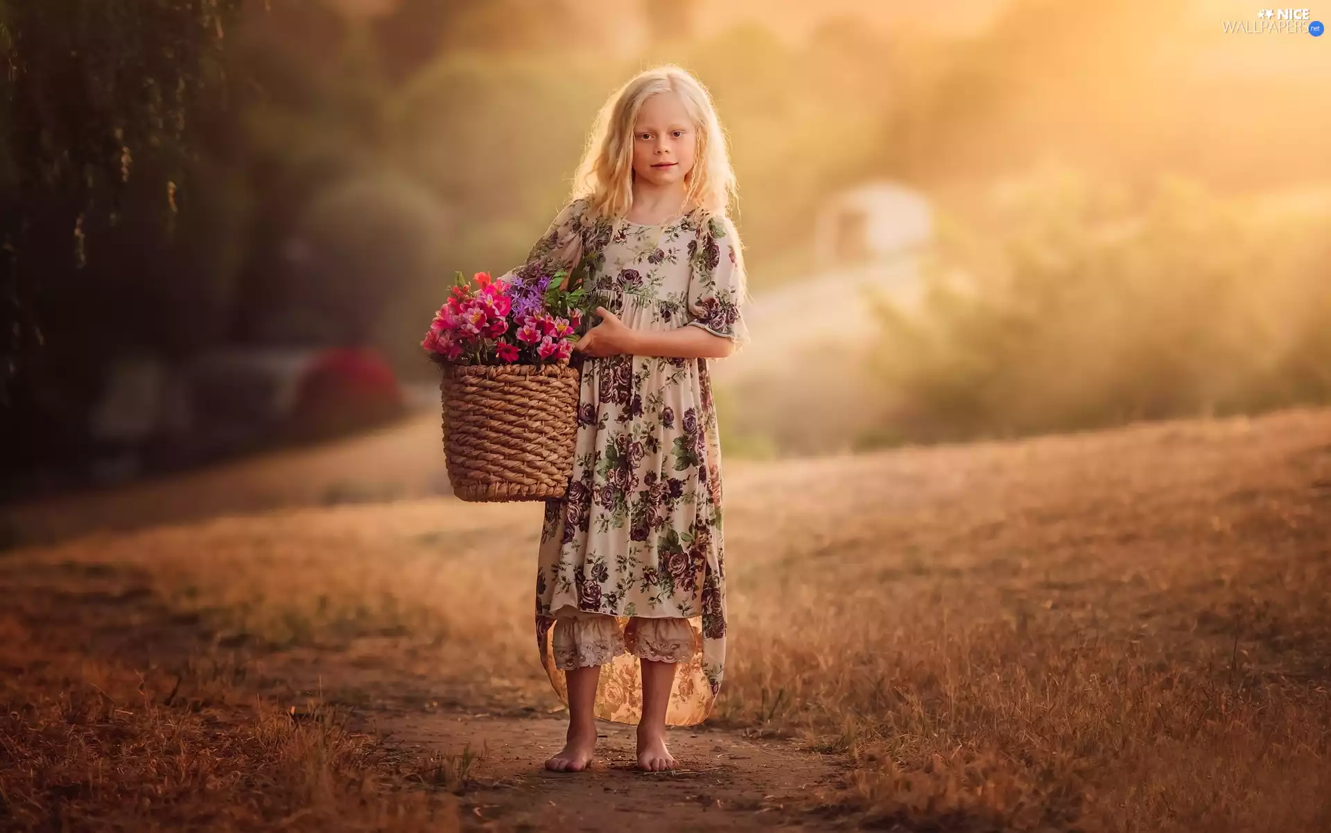 basket, Flowers, Path, girl, Field