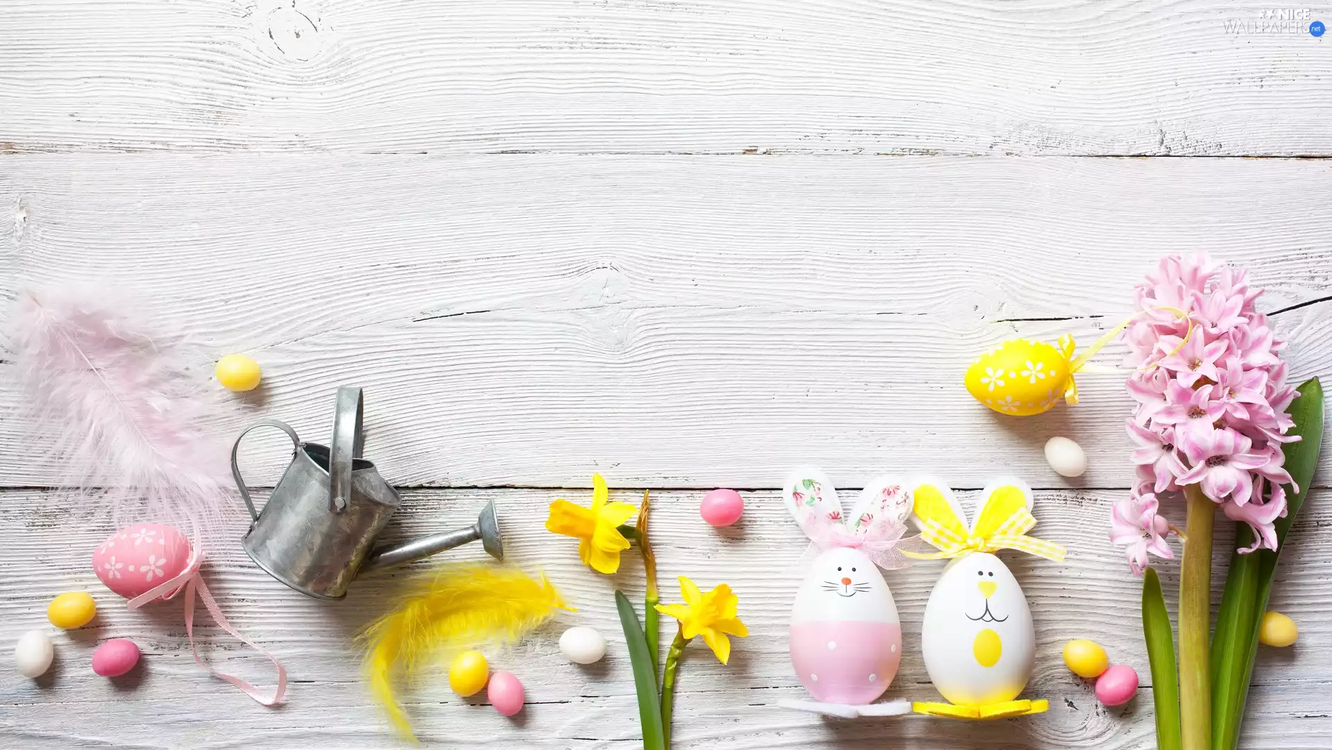 Flowers, Easter, hyacinth, narcissus, watering can, boarding, rabbits, pen, eggs