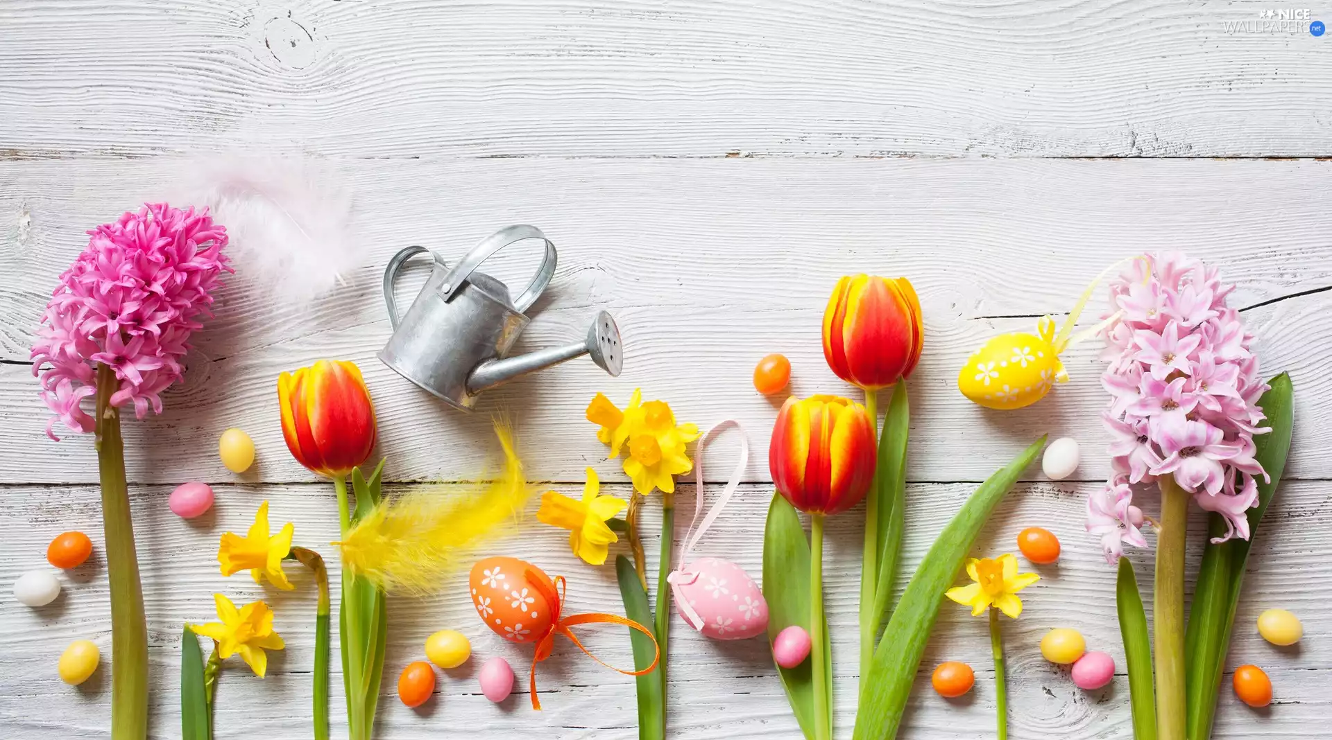 Flowers, Easter, Hyacinths, Tulips, watering can, boarding, eggs, pen, narcissus