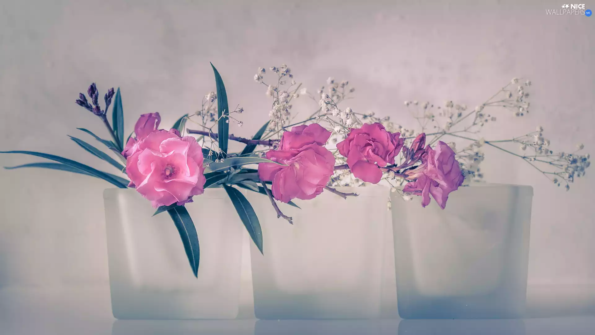 Pink, Three, Glass, Flowers