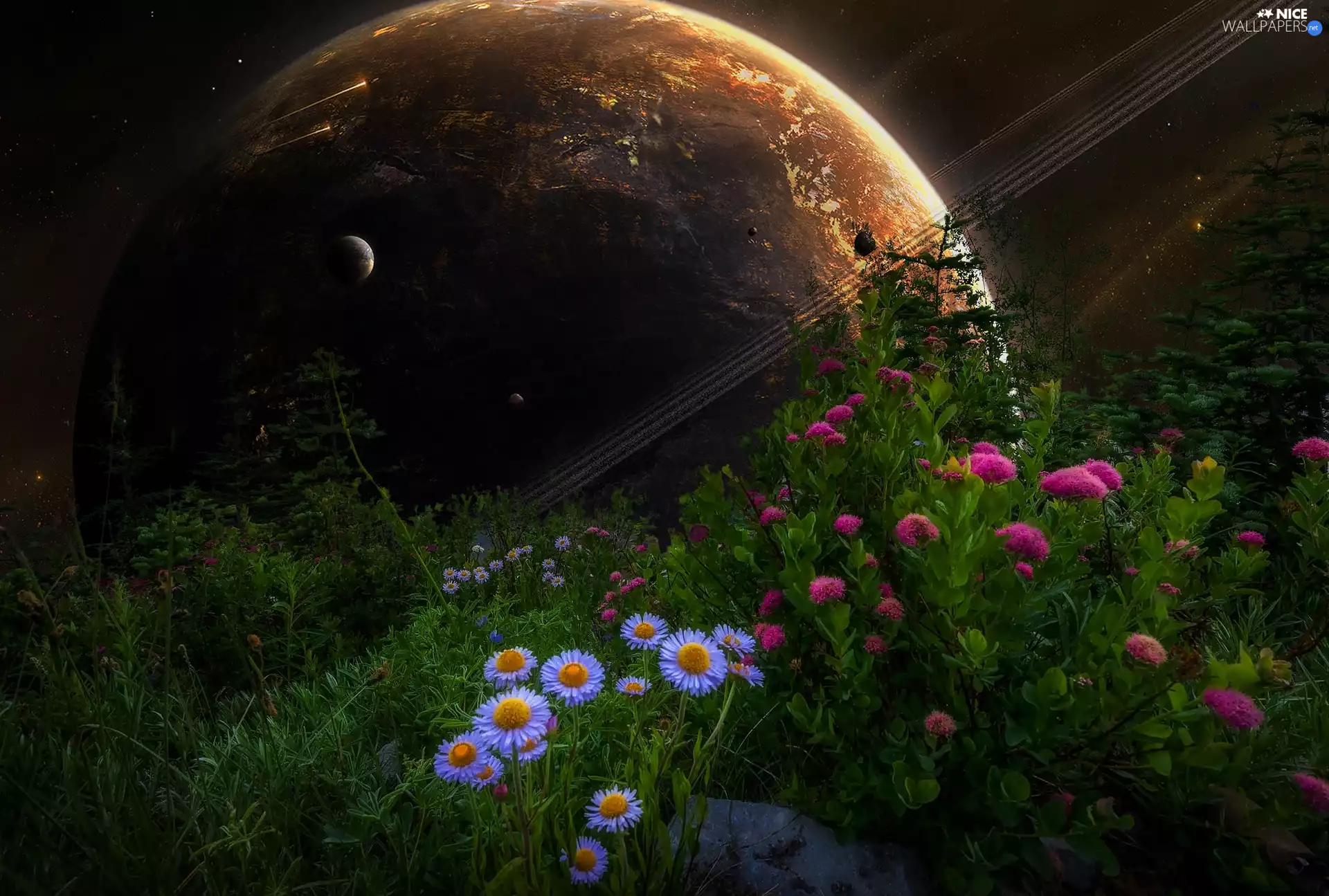 Flowers, fantasy, Planet